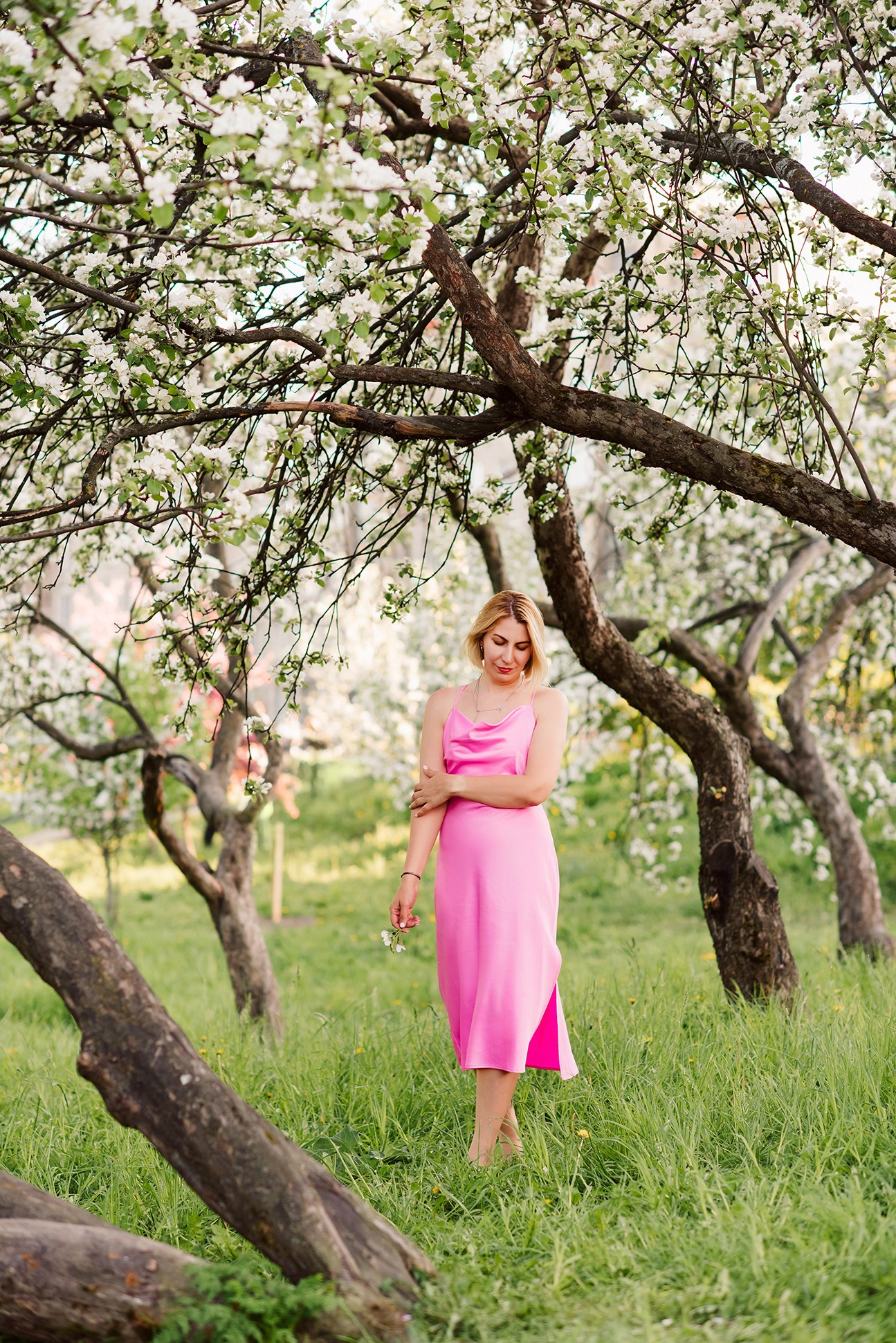 Фотосессия в яблонях в СПб, Фотосессия в цветении СПб. Семейный и Свадебный фотограф. Санкт-Петербург. Пушкин
