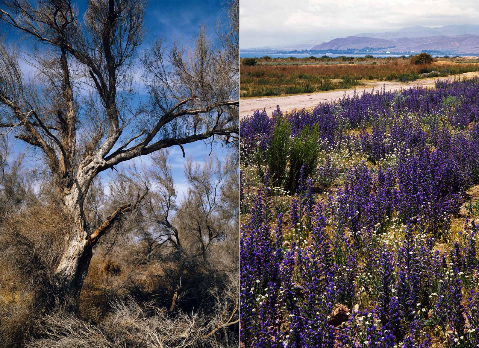 Коллекционные альбомы. ВАДИМ ГИППЕНРЕЙТЕР — ВЕЛИКИЙ ФОТОГРАФ ЗЕМЛИ РУССКОЙ