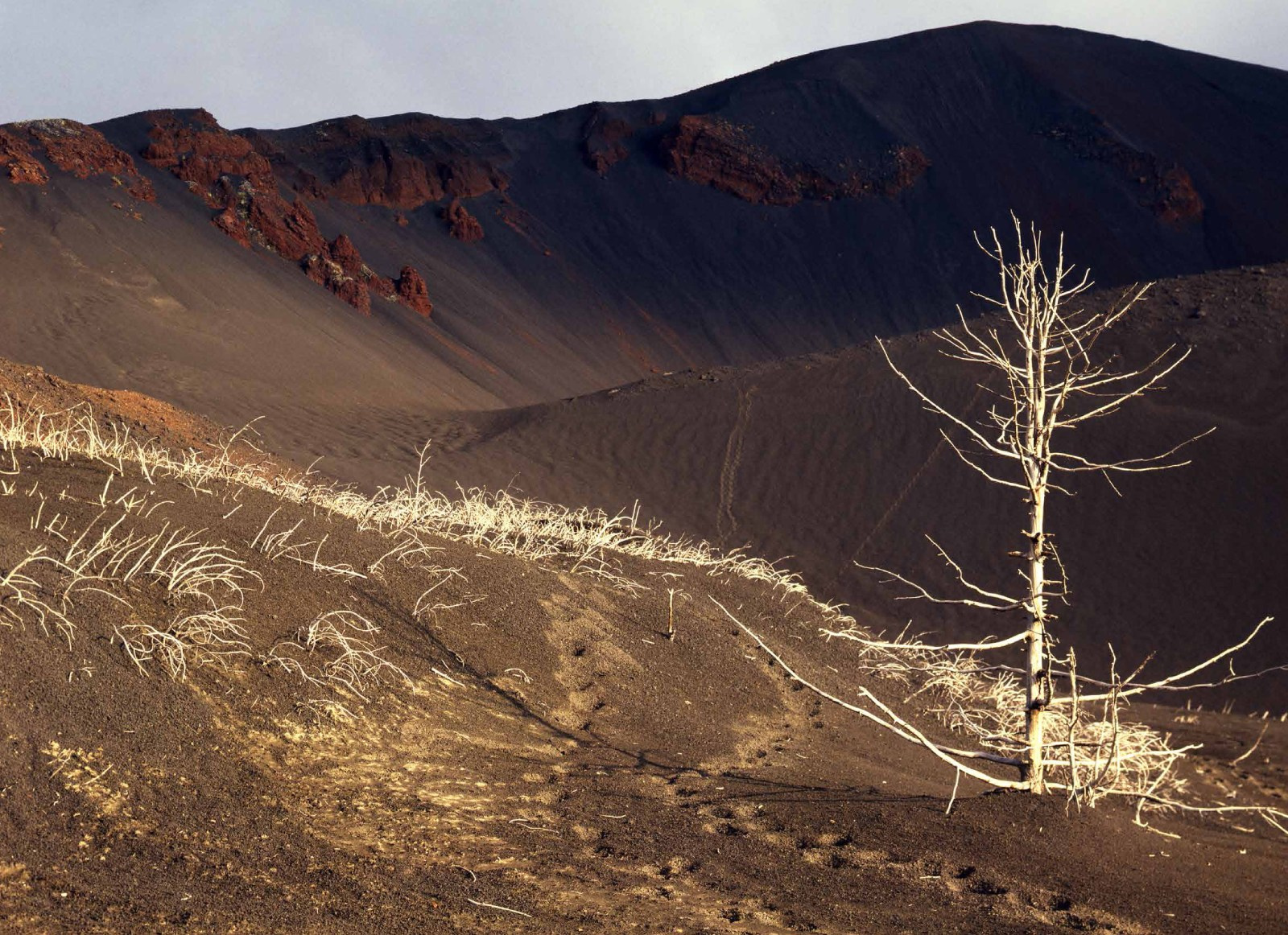 Коллекционные альбомы. ВАДИМ ГИППЕНРЕЙТЕР — ВЕЛИКИЙ ФОТОГРАФ ЗЕМЛИ РУССКОЙ