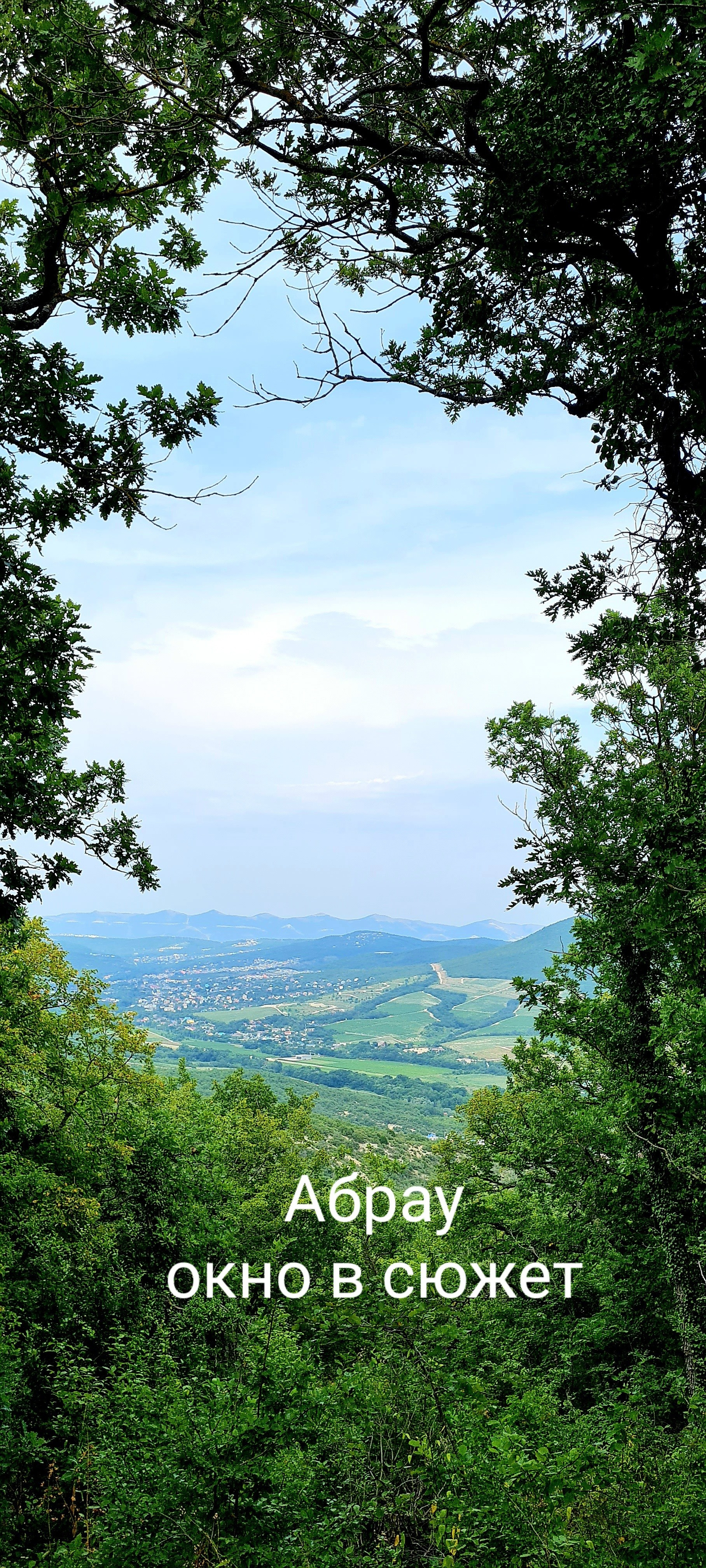 Программа «СЕРДЦЕ АБРАУ» из Анапы