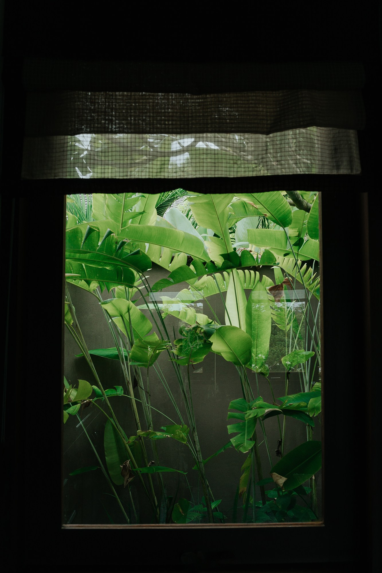 Услуги. ИНфото. Авторские фотографии для интерьеров