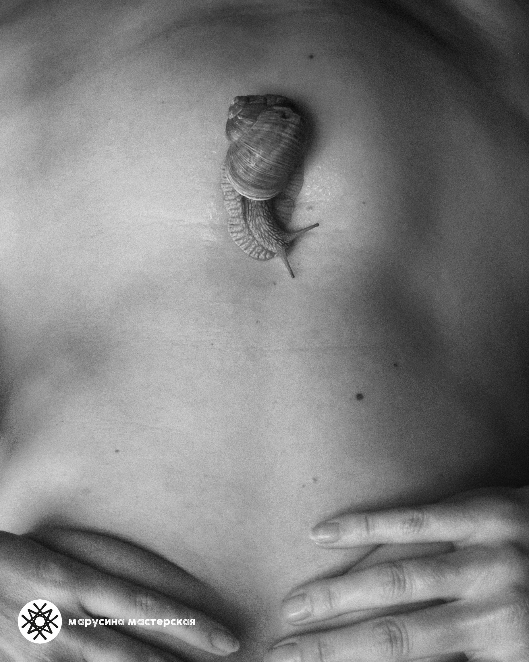 Авторская фотография участницы практикума «Метафорическая фотография» — Алена Лучинина