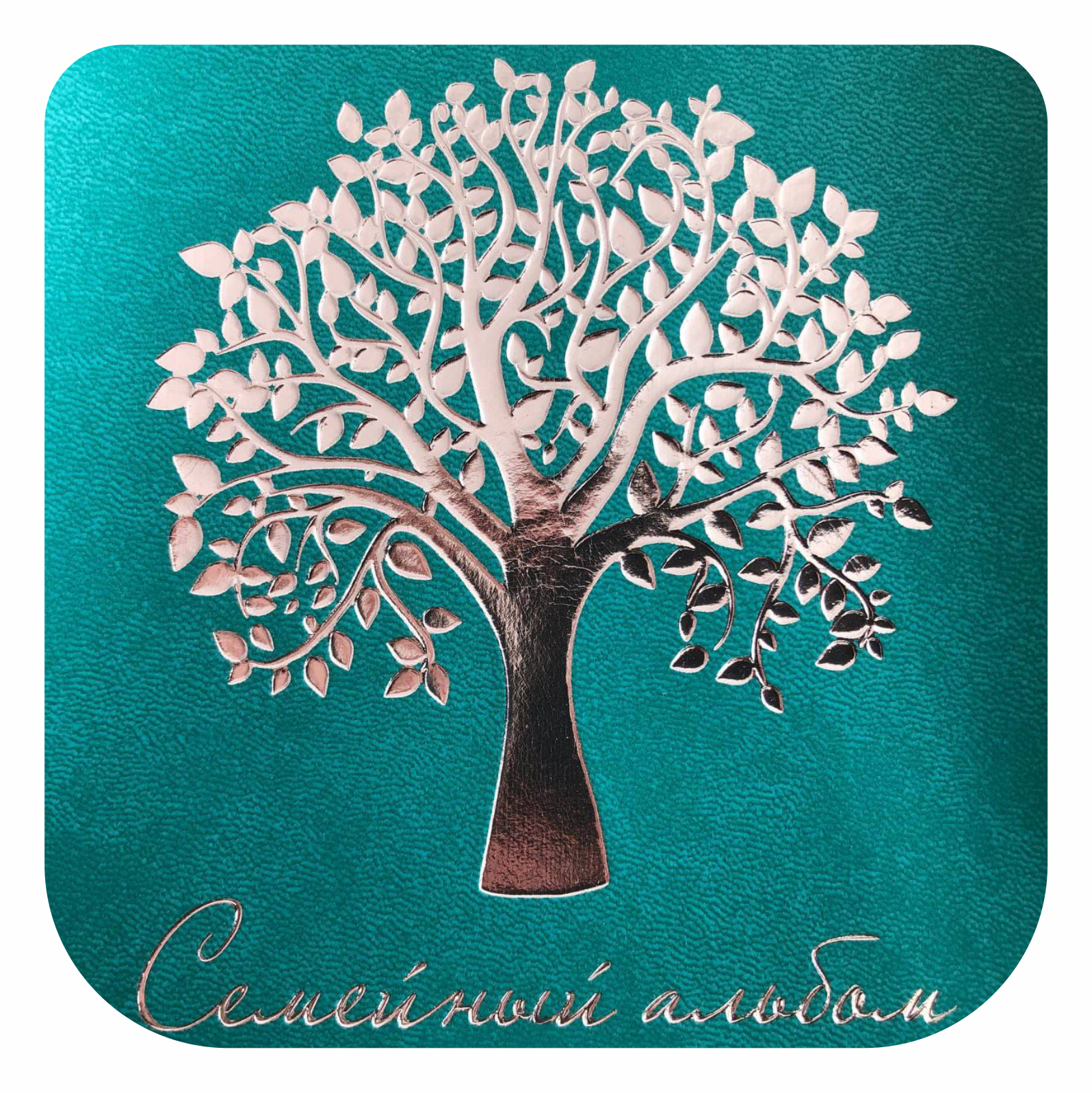 Услуги. Фотограф в Жезказгане. Графический дизайнер