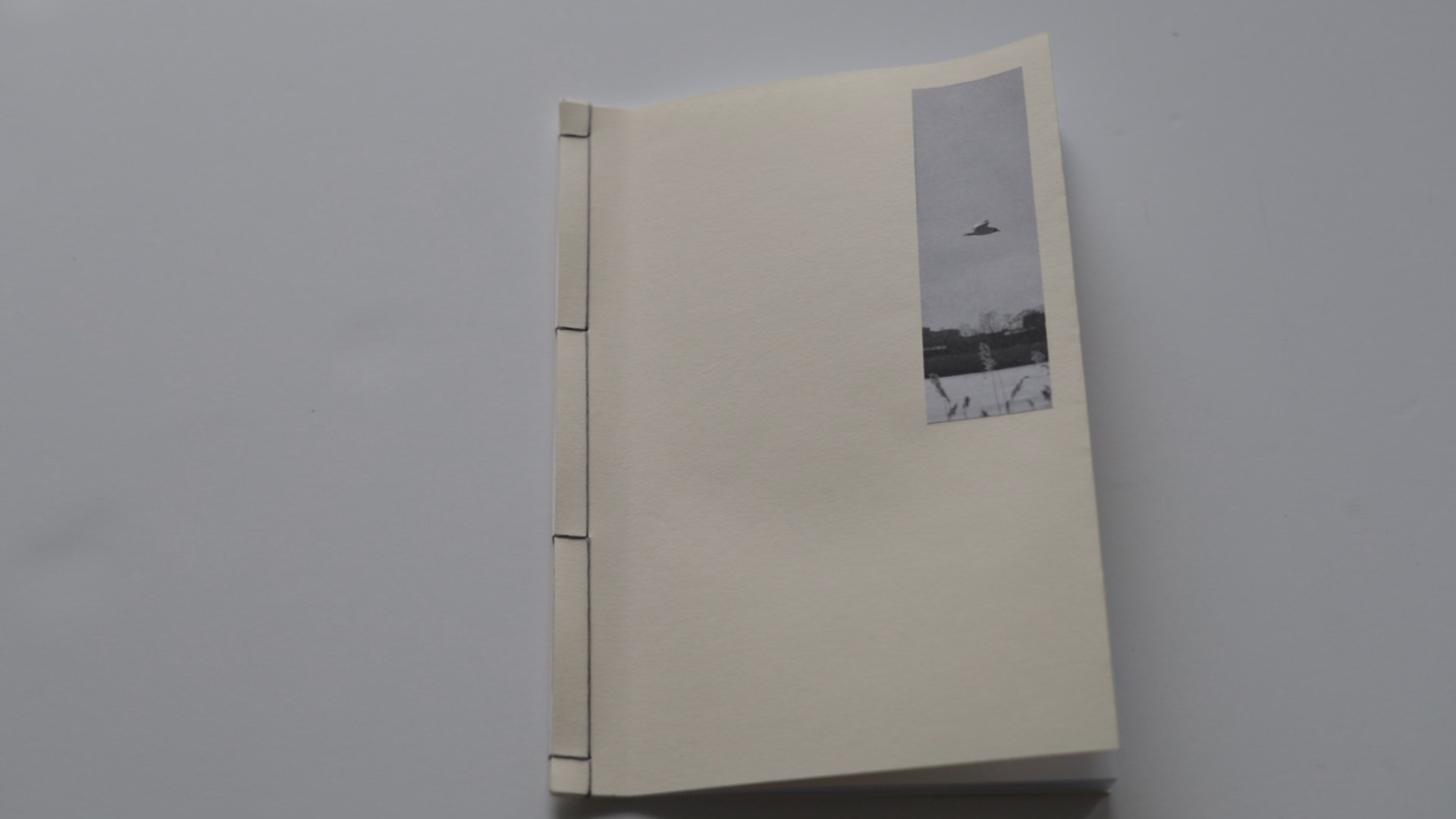 Зин «Цветные впечатления». Фотограф в Санкт-Петербурге