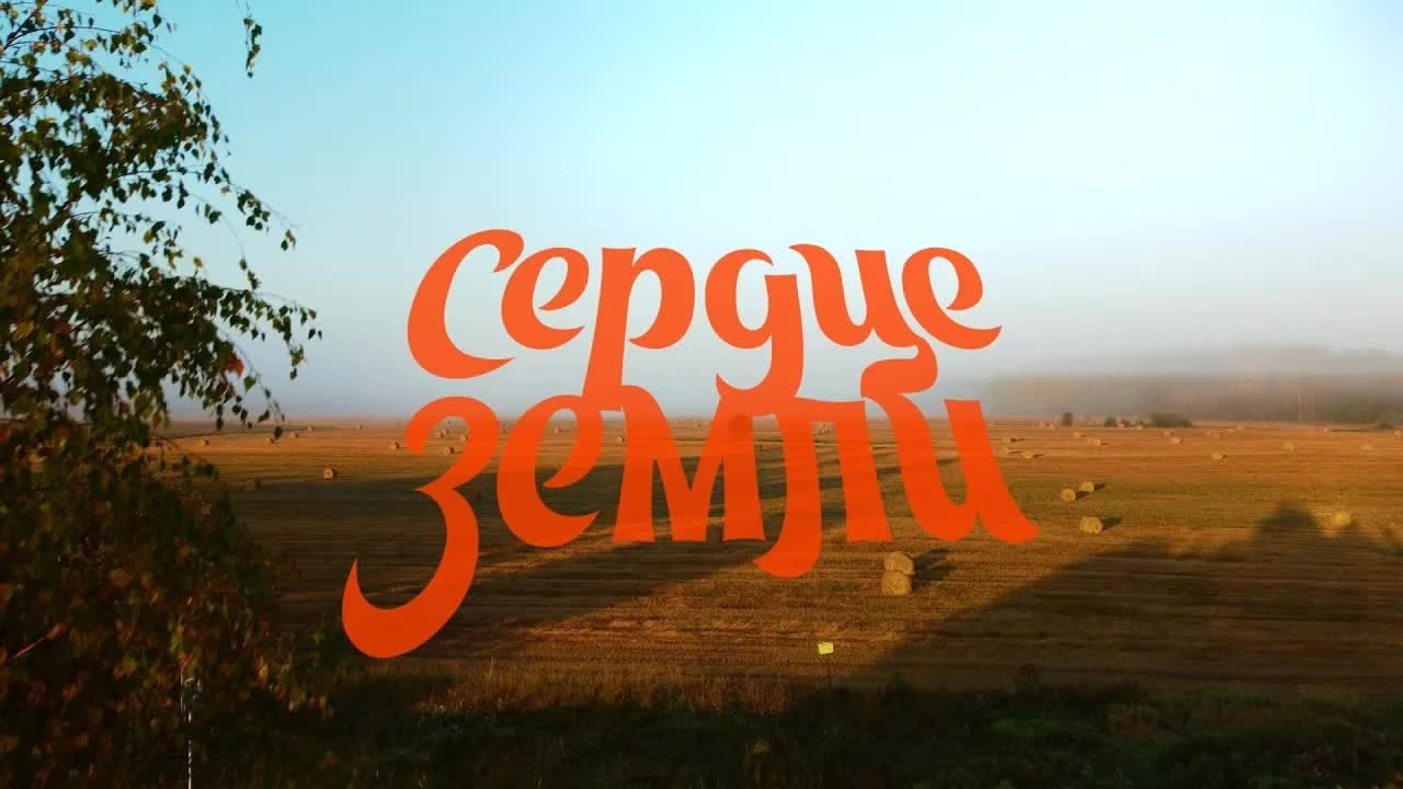 ПОРТФОЛИО | ВИДЕО. DRONBERRY — Аэросъемка Ярославль