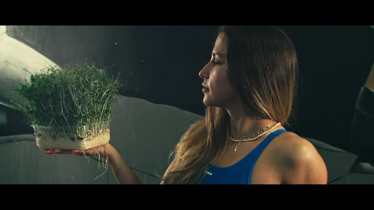 Портфолио. Видеограф СПб Роман Рассейкин |Rasfilm|