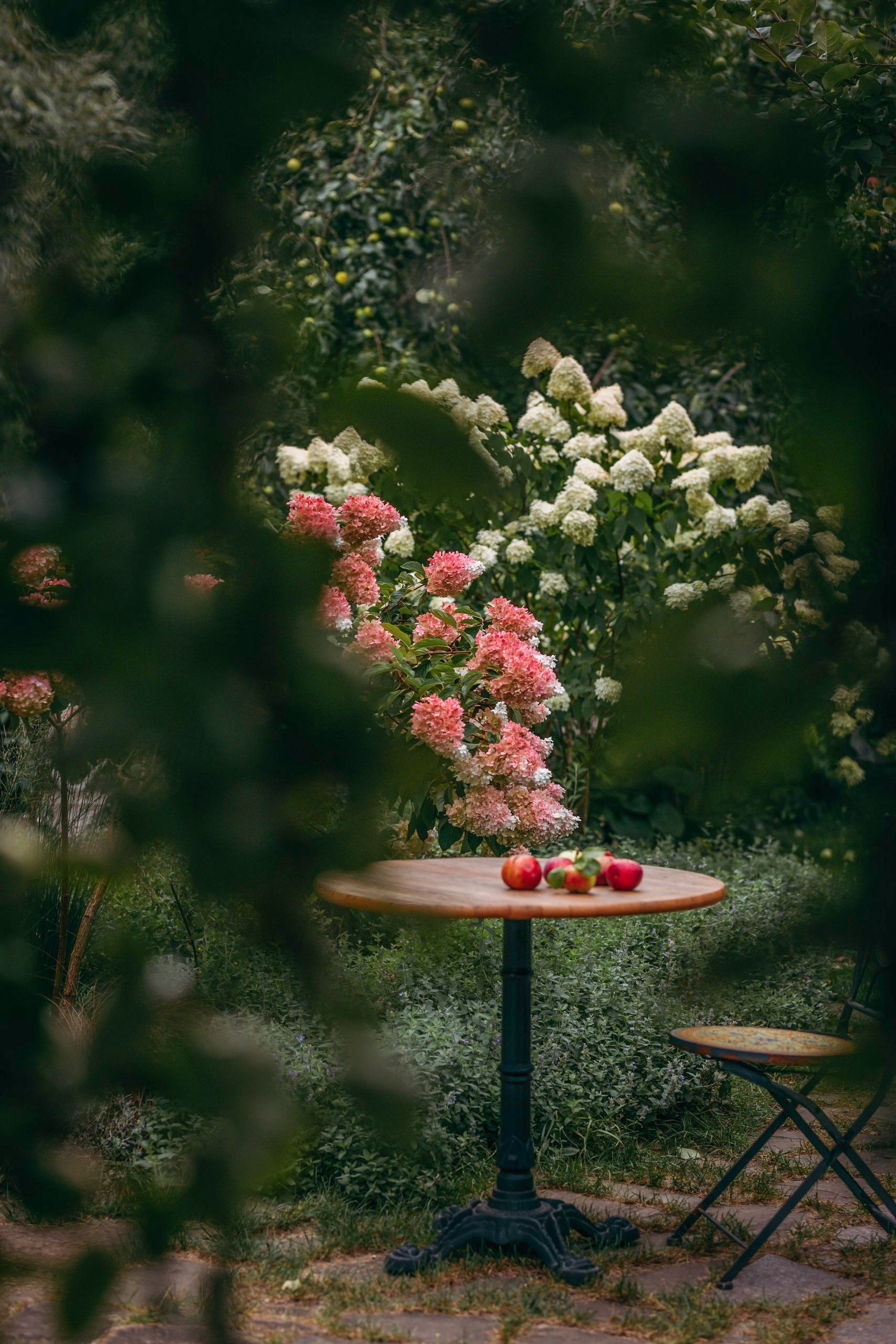 Villa Vera ЖИВОТНЫЕ. Family and children’s photographer |Russia| Anastasia Perepelkina