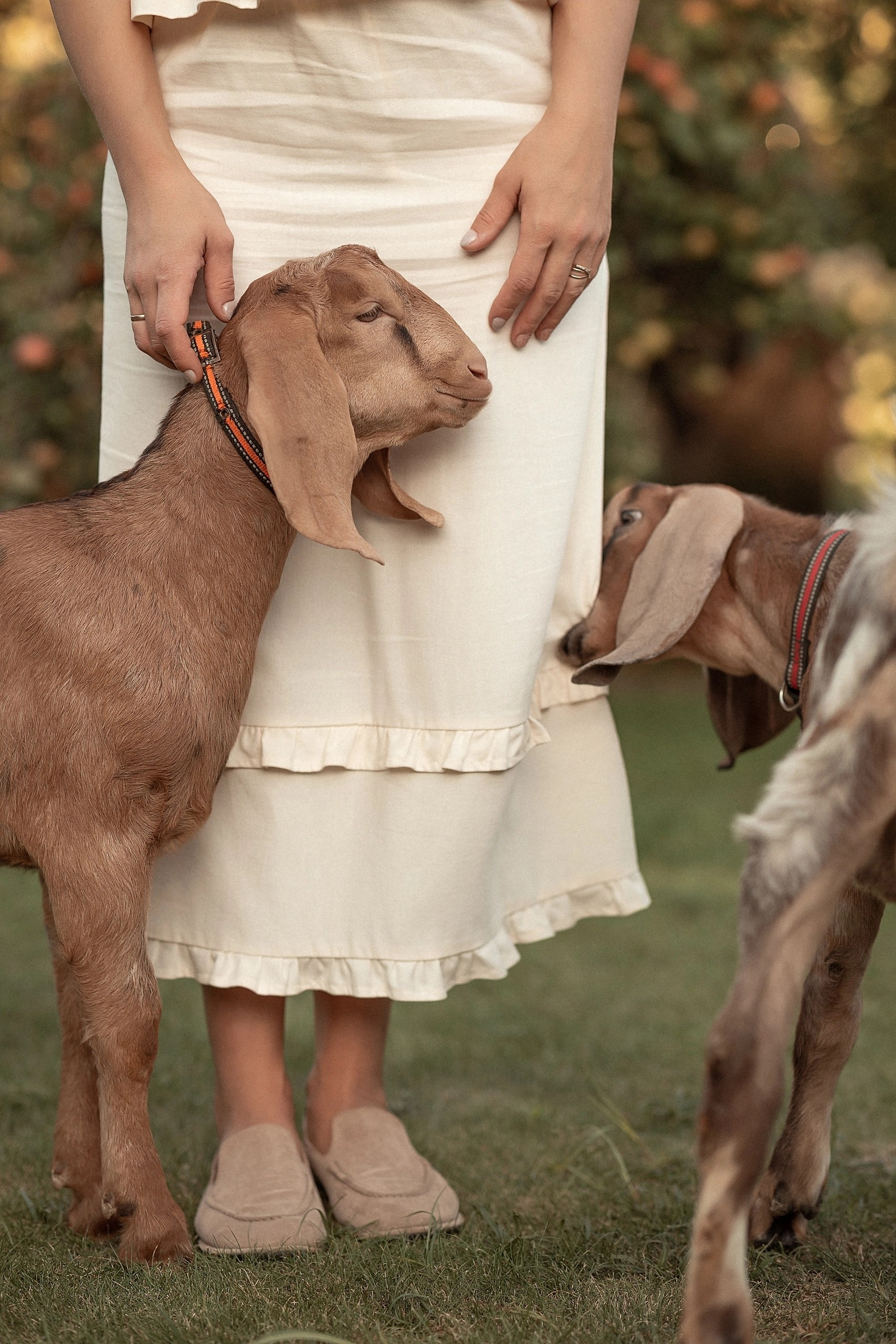 Villa Vera ЖИВОТНЫЕ. Family and children’s photographer |Russia| Anastasia Perepelkina