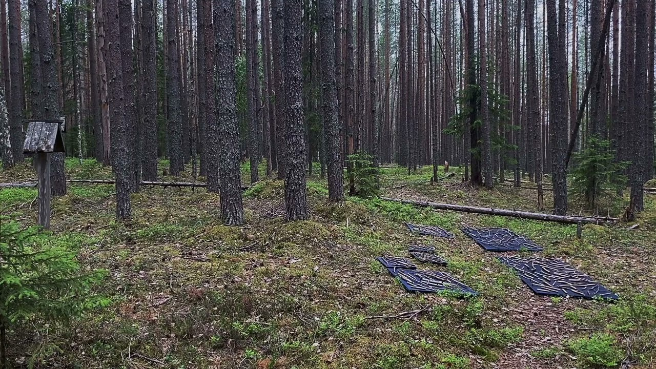 СВИДЕТЕЛИ. Photographer Olya Pegova | Фотограф Оля Пегова