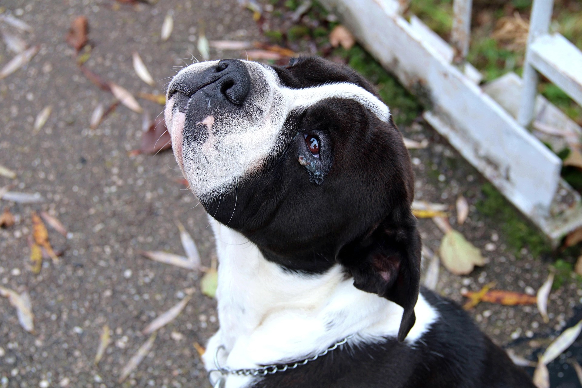 Катя Попова|ЛайфСтайл фотограф