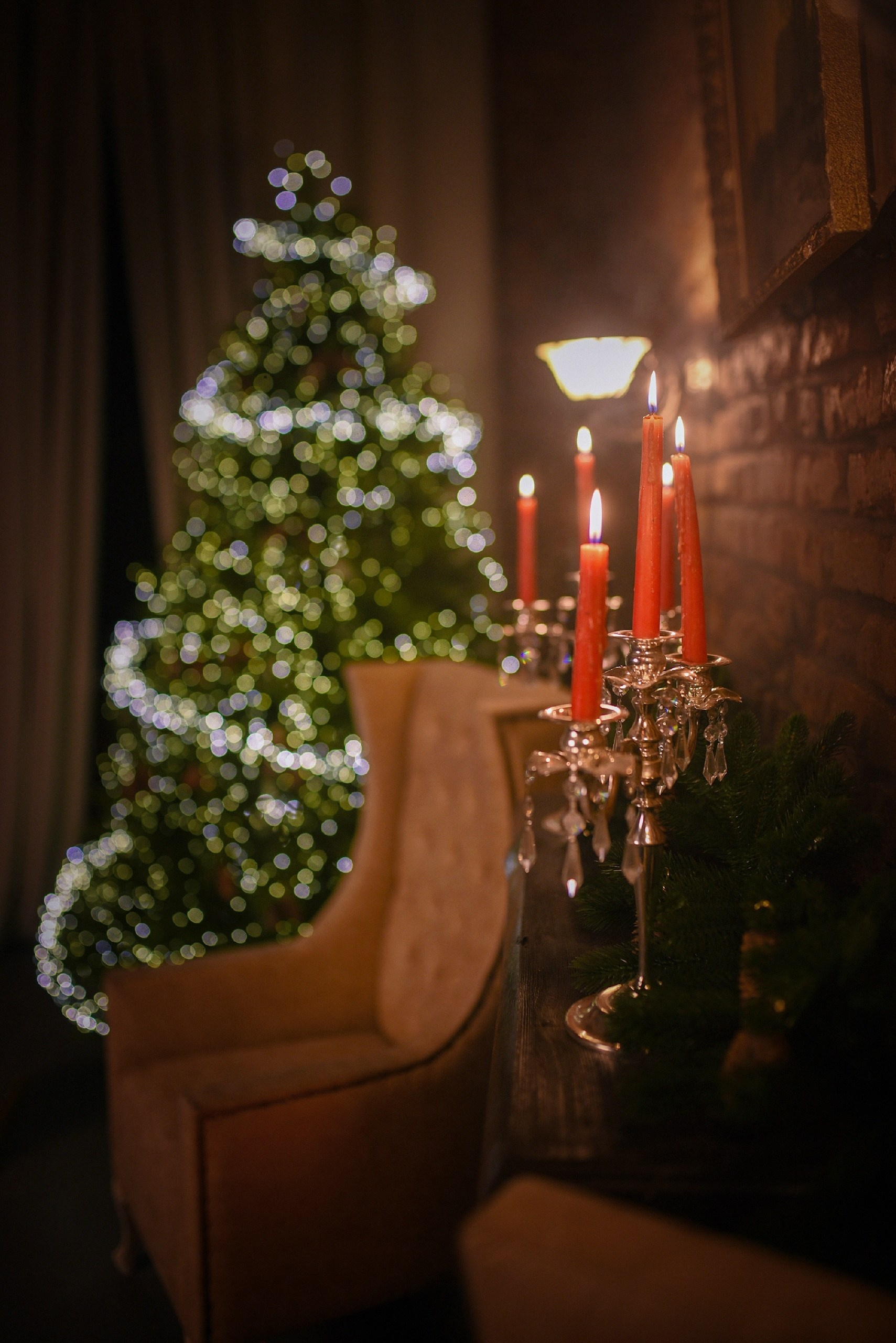 Фотодень «Волшебный новый год». Фотограф Рина