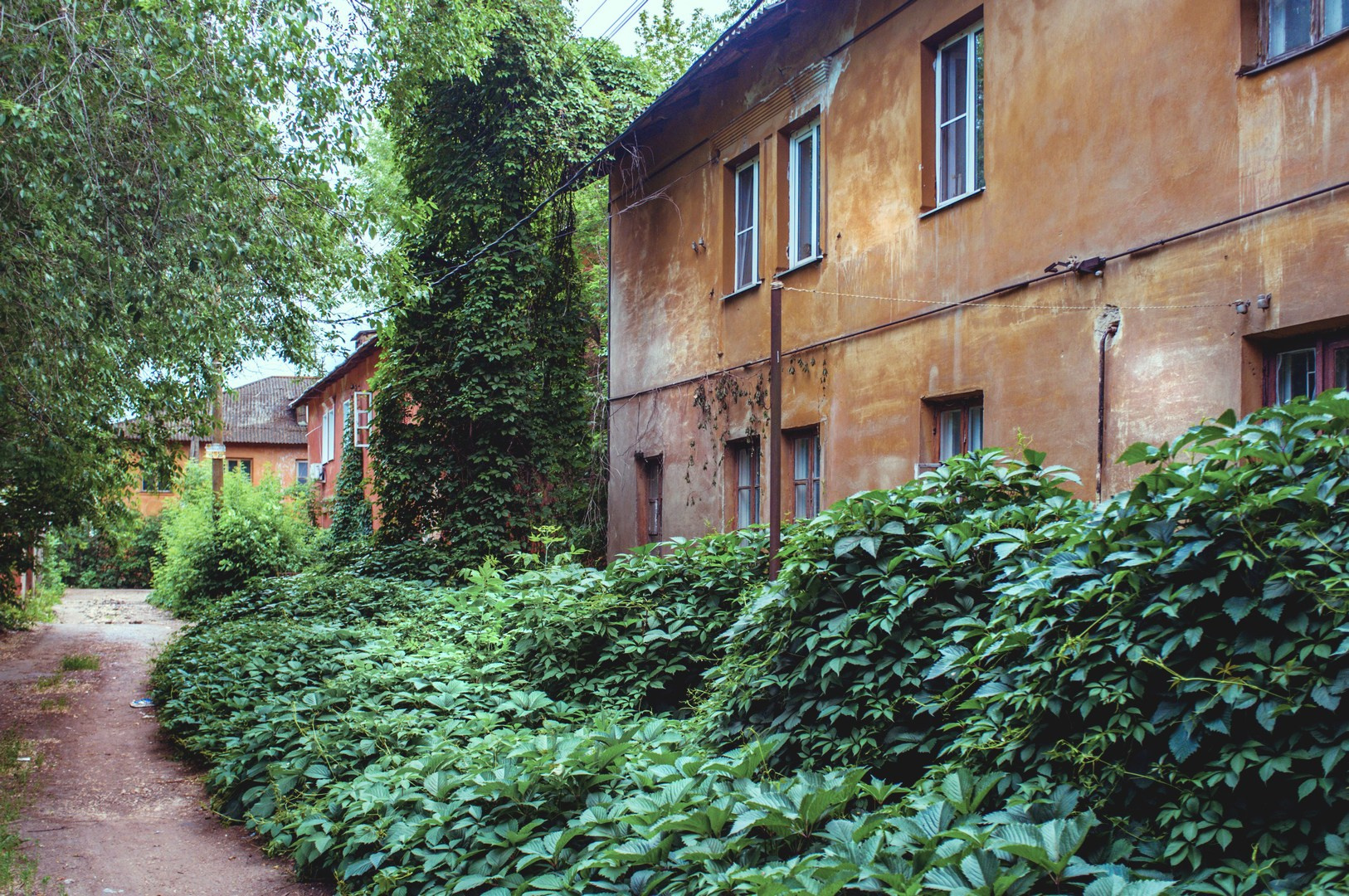 Руслан Шувалов (поэтограф)