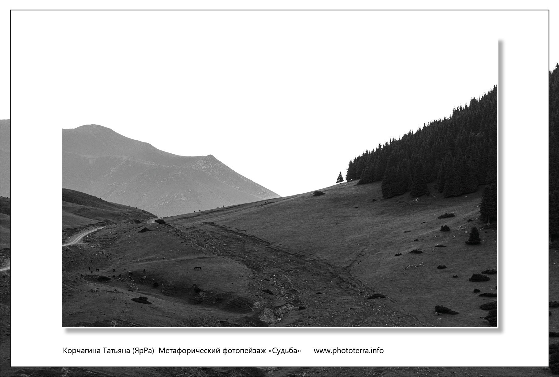 Перевал. Татьяна Корчагина. Фотограф, художник. Обучение фотографии