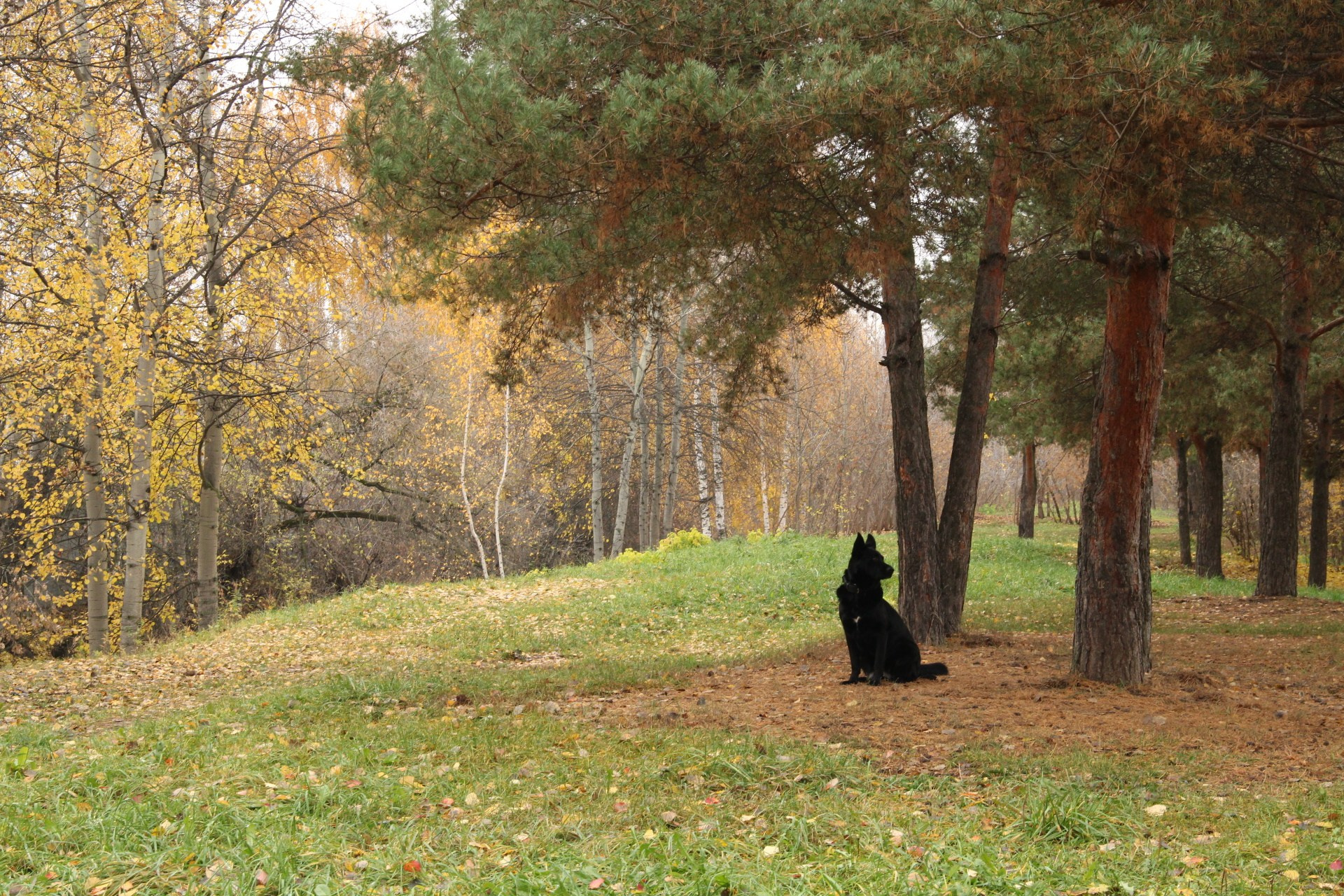 Катя Попова|ЛайфСтайл фотограф