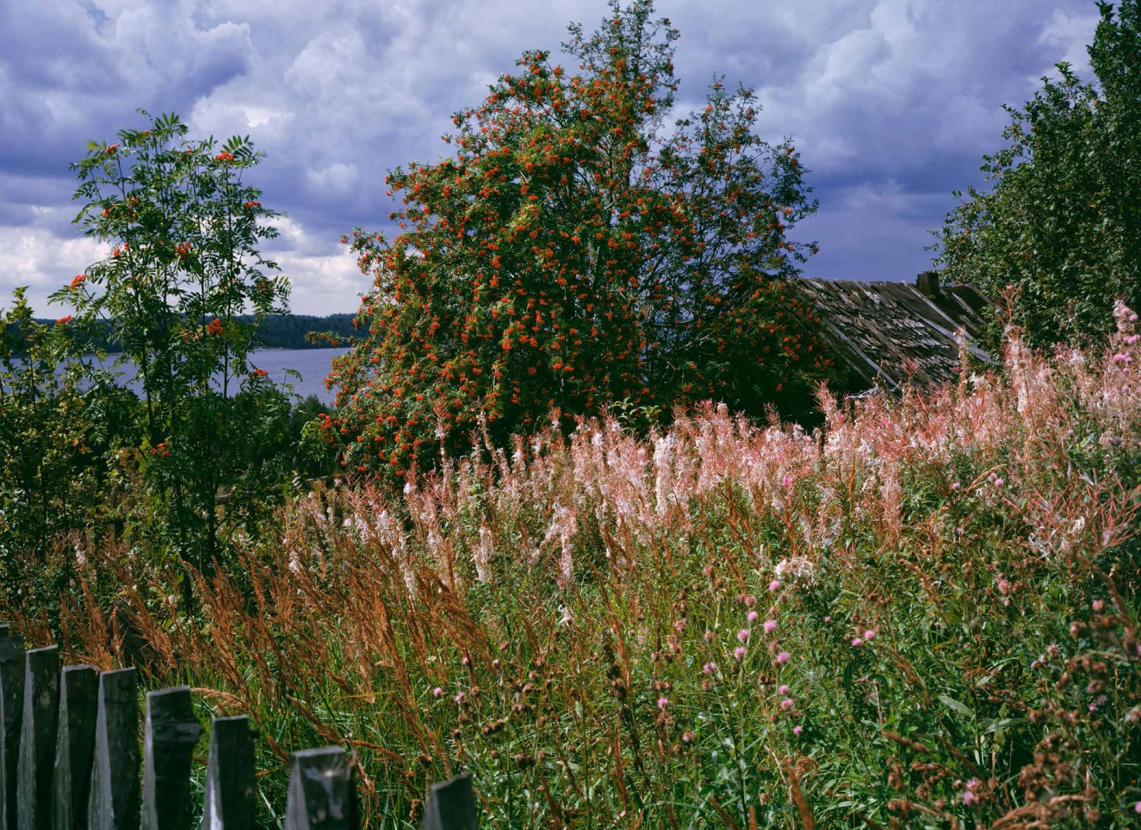 Коллекционные альбомы. ВАДИМ ГИППЕНРЕЙТЕР — ВЕЛИКИЙ ФОТОГРАФ ЗЕМЛИ РУССКОЙ