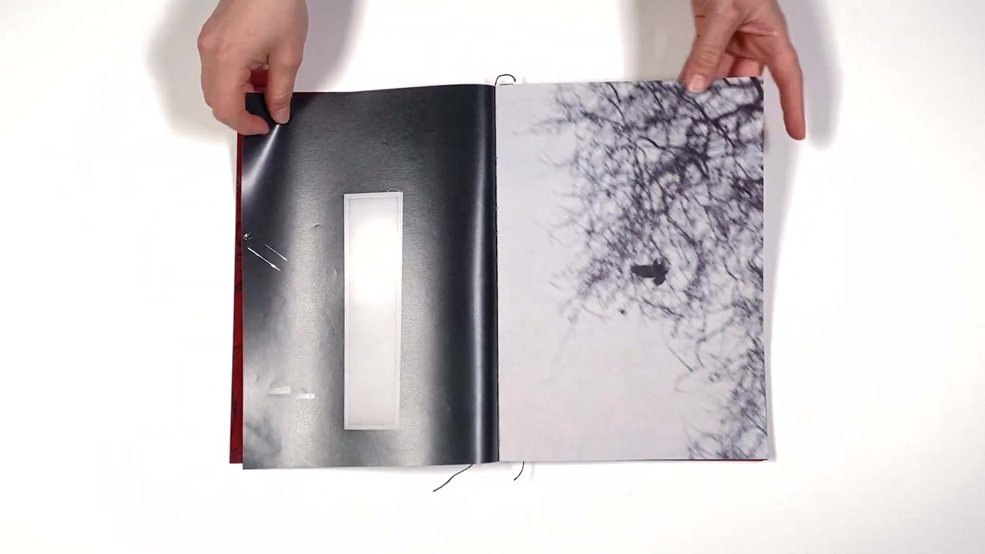 Фотокнига «Solstice» художницы Джулии Боле (Julia Bohle). Private image