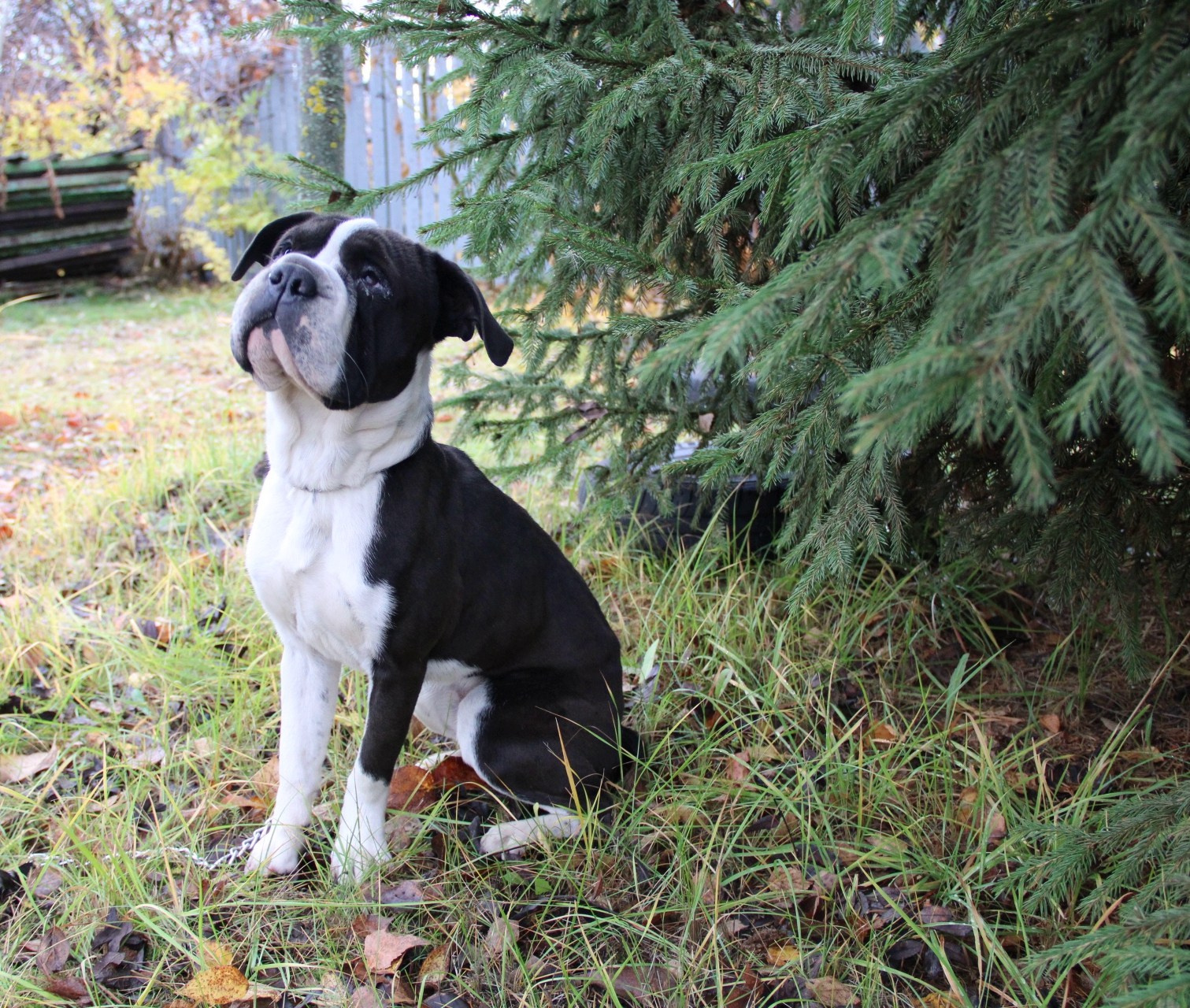 Катя Попова|ЛайфСтайл фотограф
