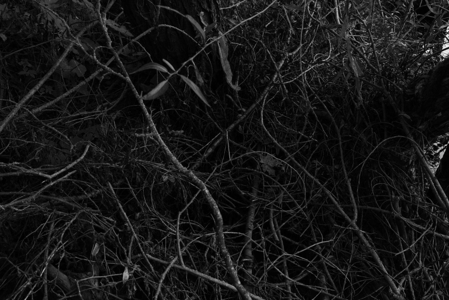 Непокорённая земля. Пылина Ирина — современная фотография