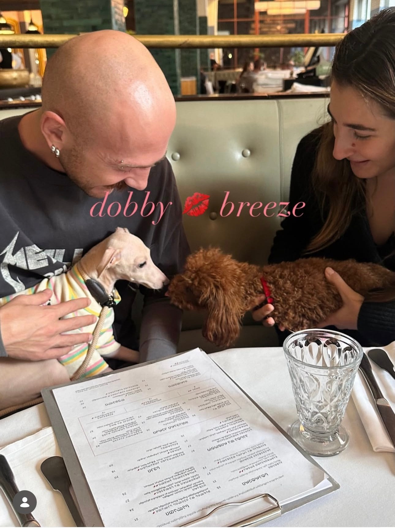 Левретка и другие породы собак. Профессиональный питомник левреток РКФ/FCI ASTI SAPPHIRE 💎 Сочи|Санкт-Петербург