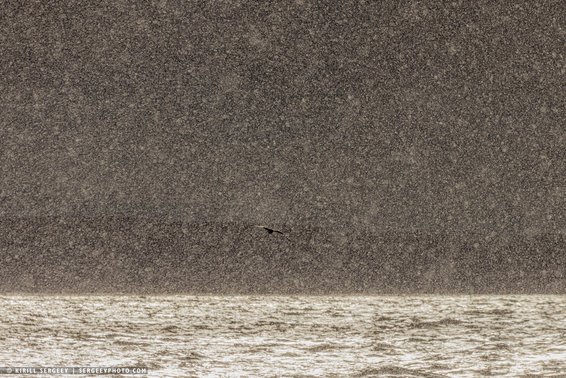 北極奧德賽. 攝影師 基里爾·謝爾蓋耶夫 |莫斯科