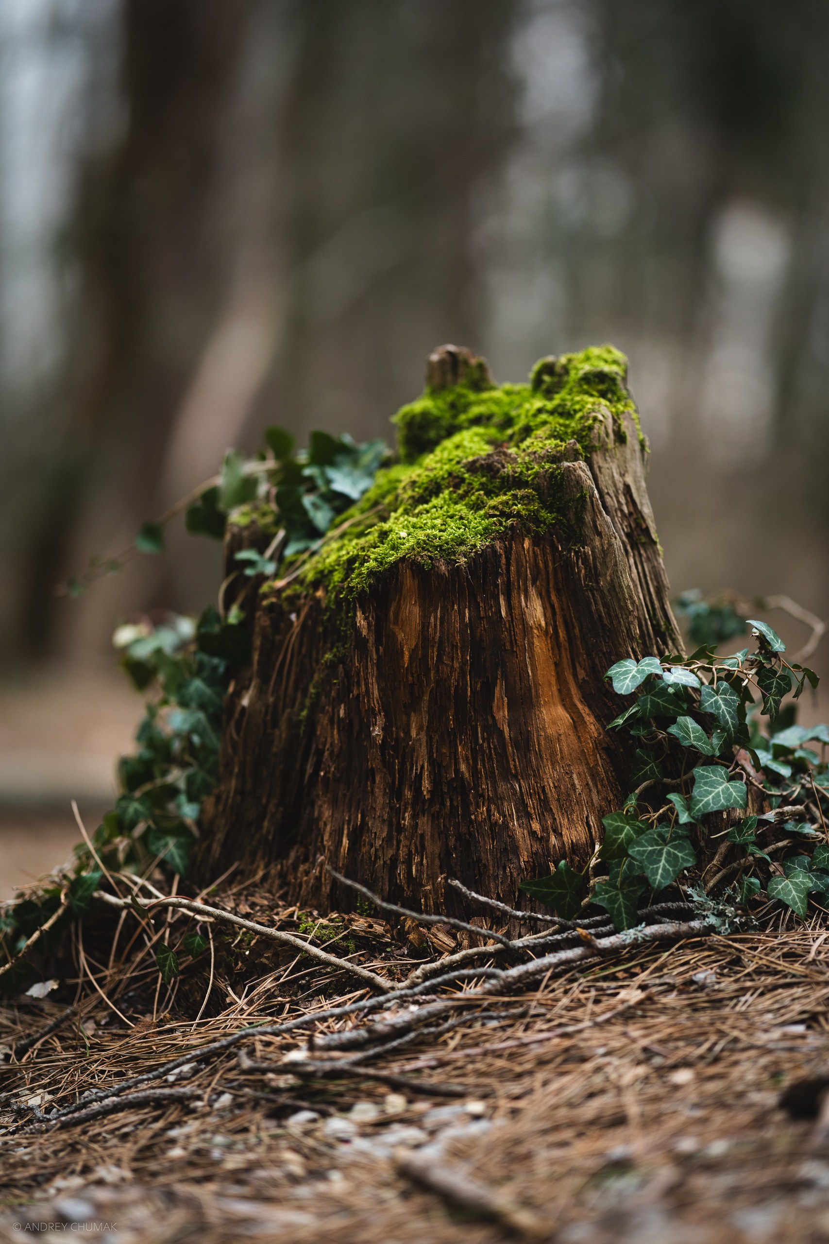 Анонс на фотопоходы в апреле. Универсальный фотограф по Крыму