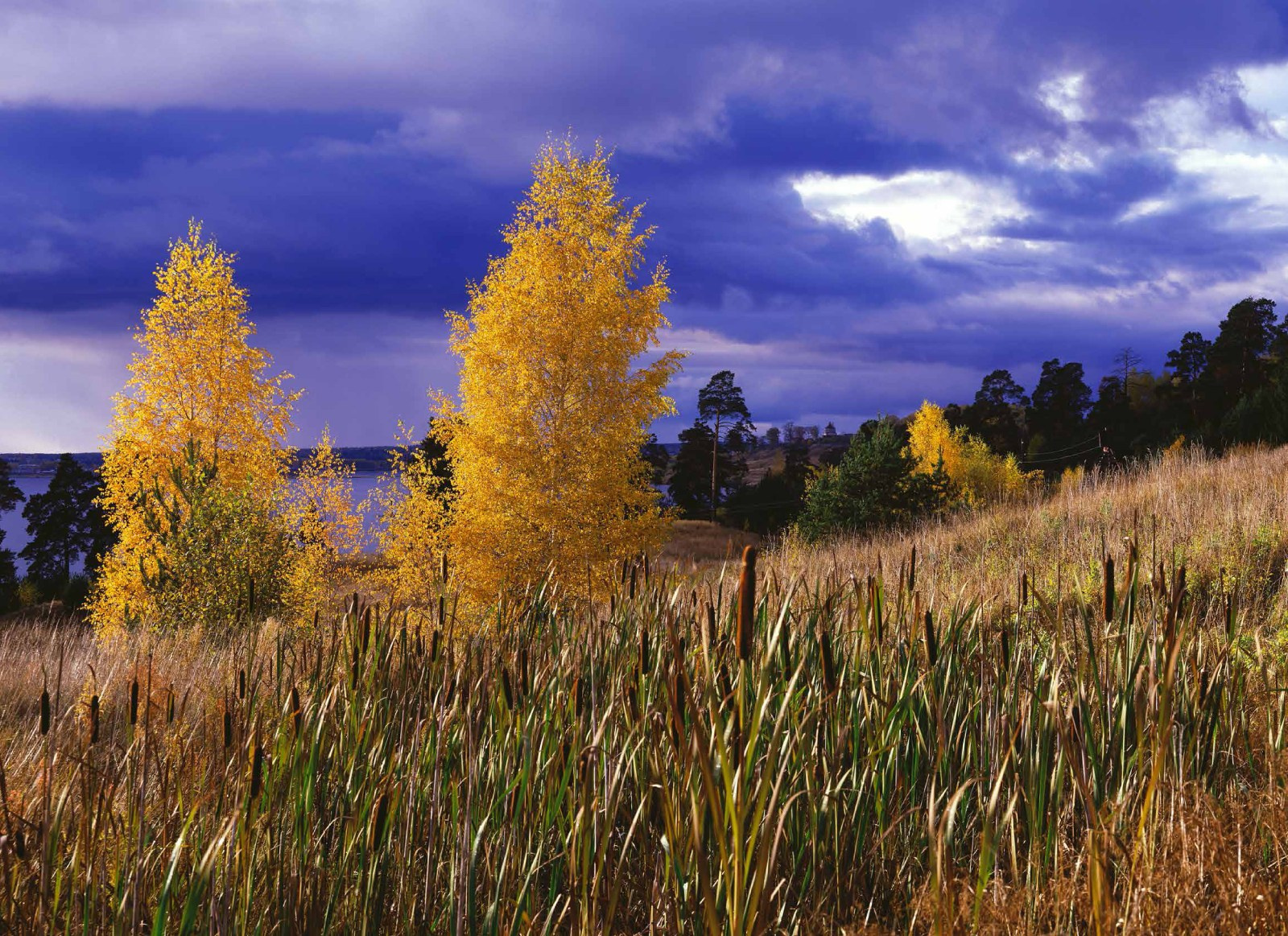 Коллекционные альбомы. ВАДИМ ГИППЕНРЕЙТЕР — ВЕЛИКИЙ ФОТОГРАФ ЗЕМЛИ РУССКОЙ