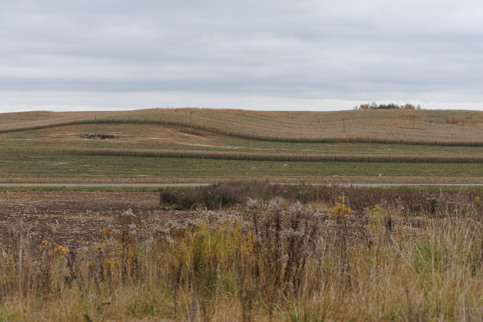 Прилепы, Беларусь. Юлия Леонова — фотограф, визуальный художник Минск