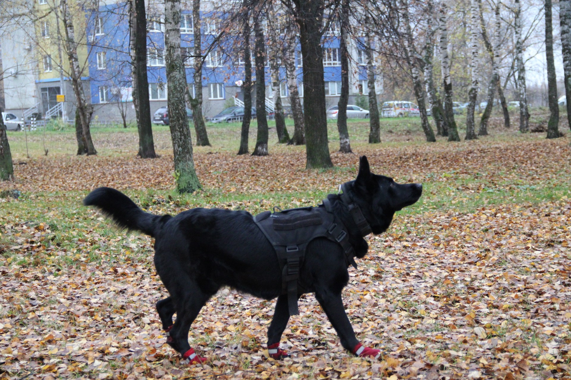 Катя Попова|ЛайфСтайл фотограф