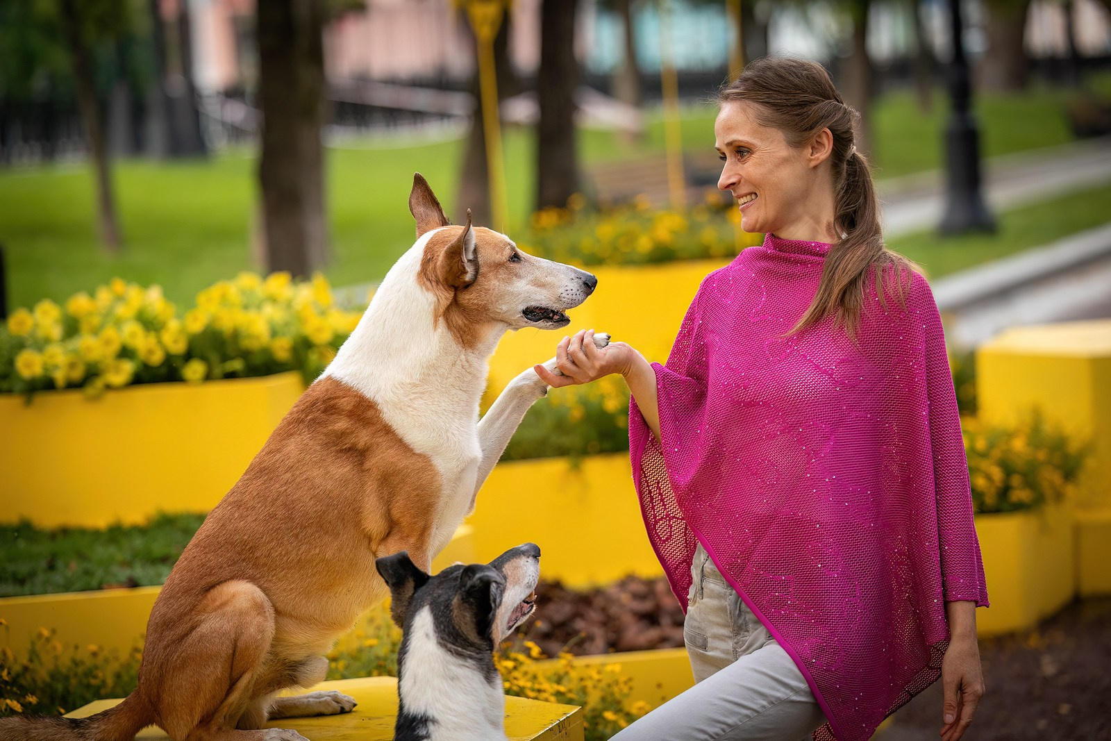 Винтик и Вита в городе. Фотограф-анималист Natalia Deingel | Фотосъемка собак в Москве