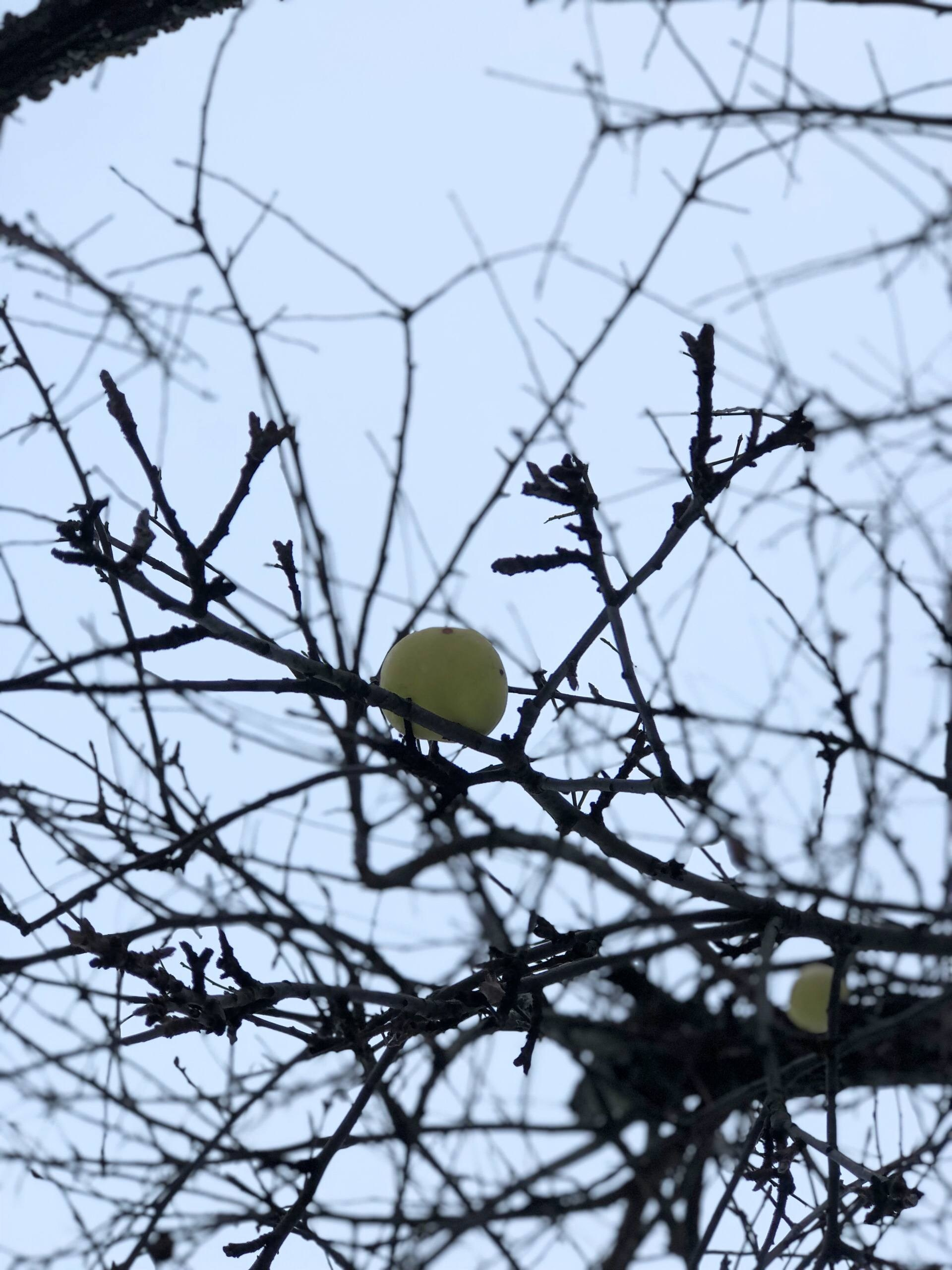 Дом на продажу № 2 #1. DRONBERRY — Аэросъемка Ярославль