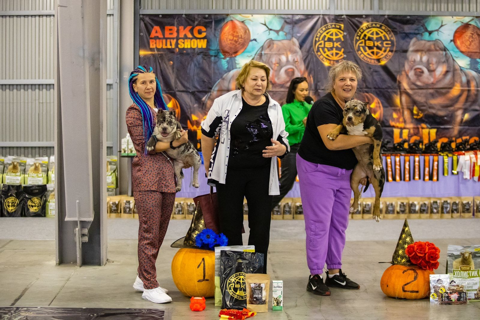 кобель на вязку Американского булли в Питере