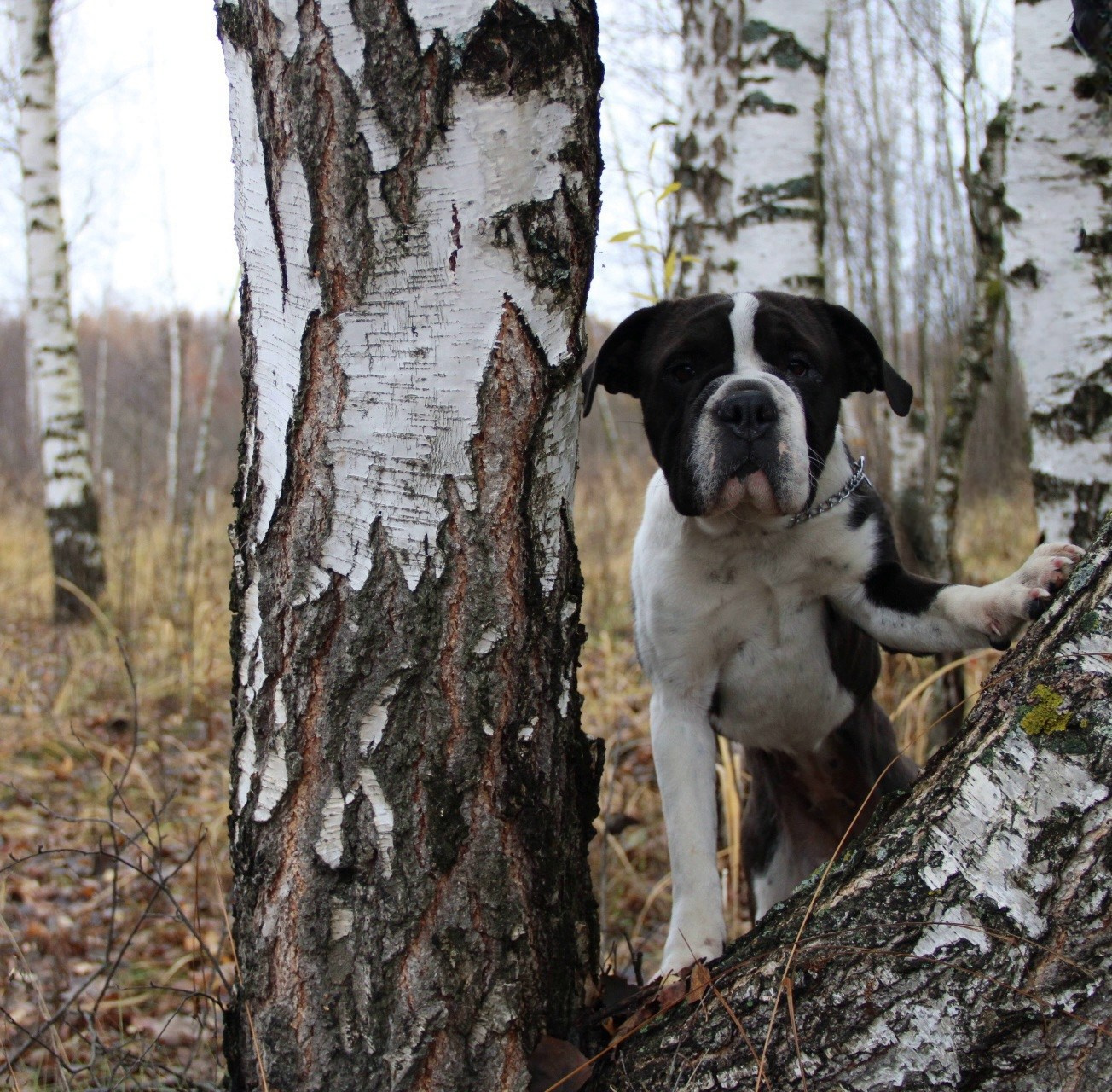 Катя Попова|ЛайфСтайл фотограф