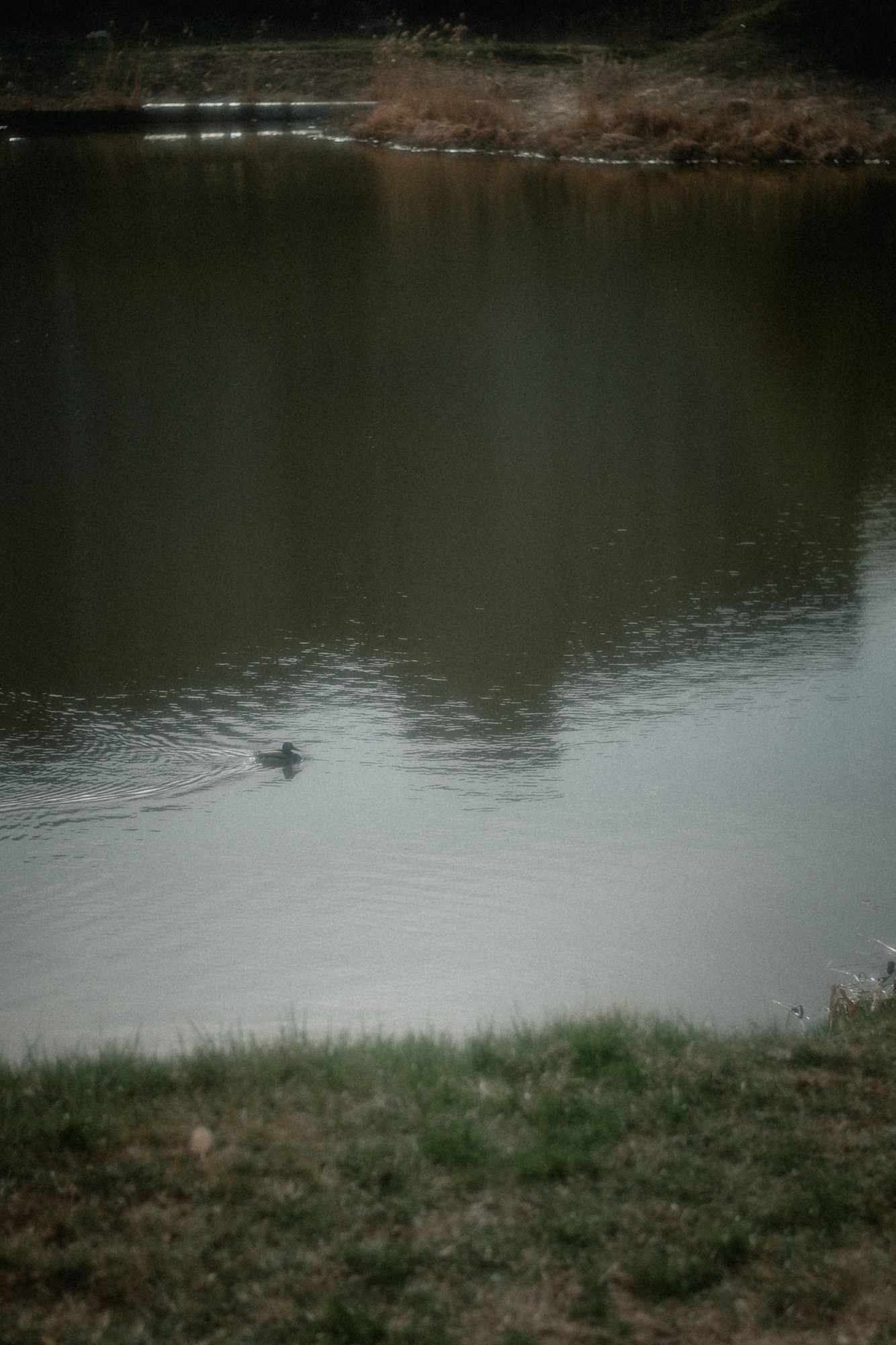 Фотограф в Тюмени Дарья Мустафина Портретная серия «Берег и тишина». Портретный фотограф Тюмень Дарья Мустафина