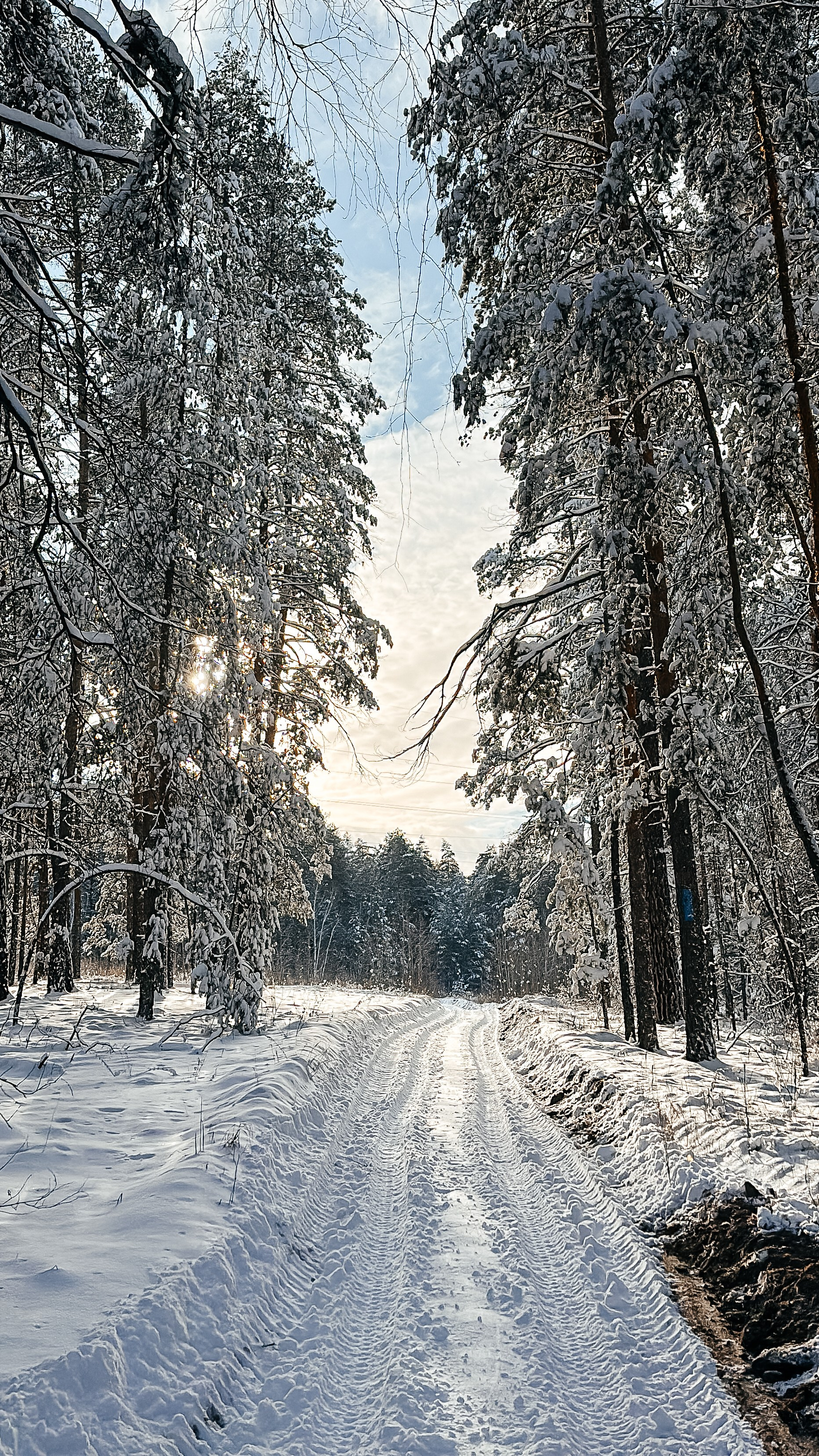 Аренда квадроциклов, питбайков, эндуро, багги, гидроциклов в Тольятти