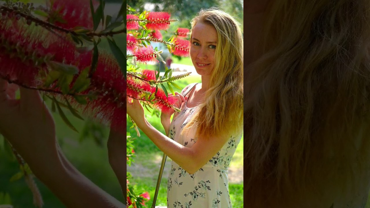 Мосты парка Турия в Валенсии. Гид и фотограф в Валенсии Новиков Михаил