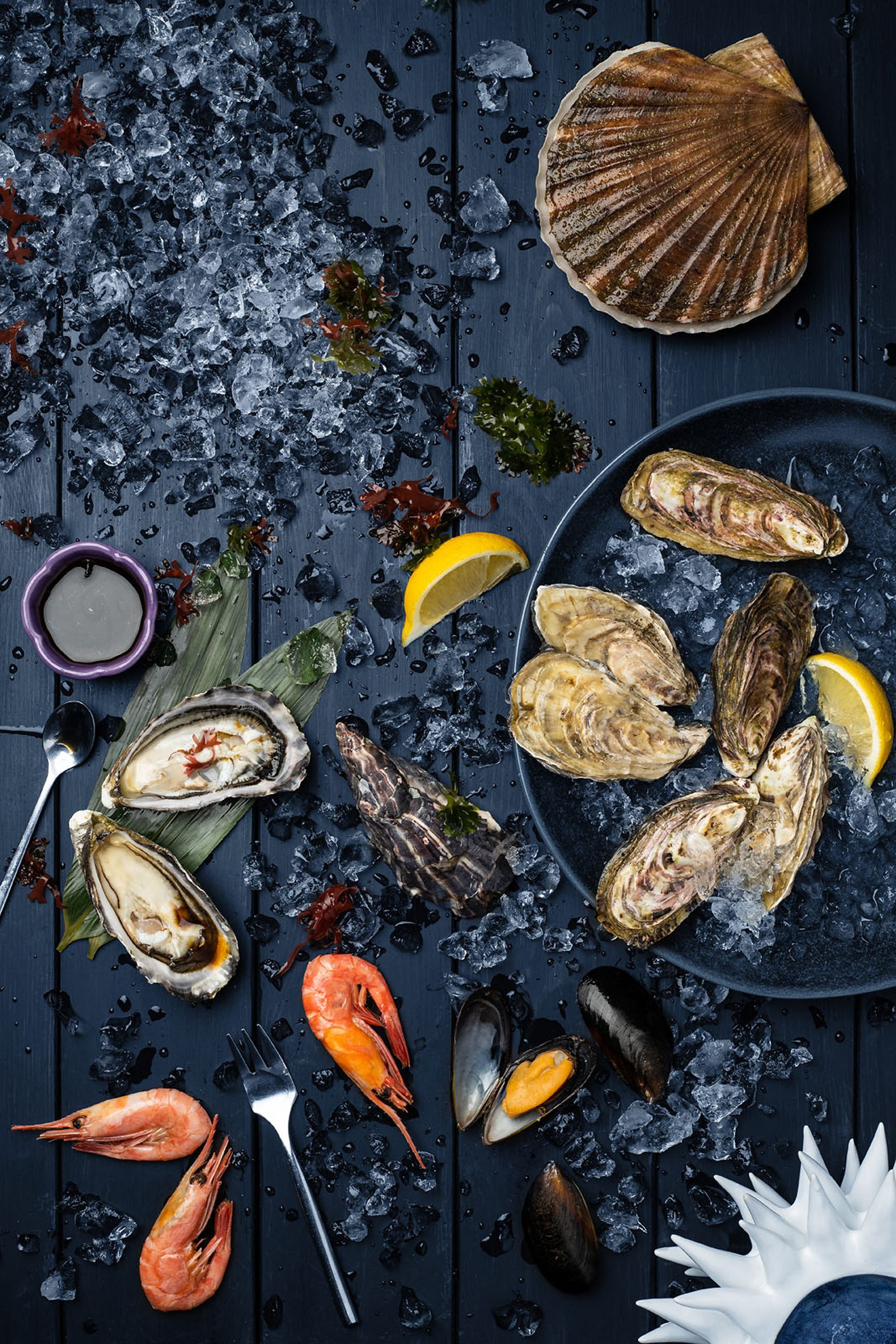 Фотография роллов на черном фоне