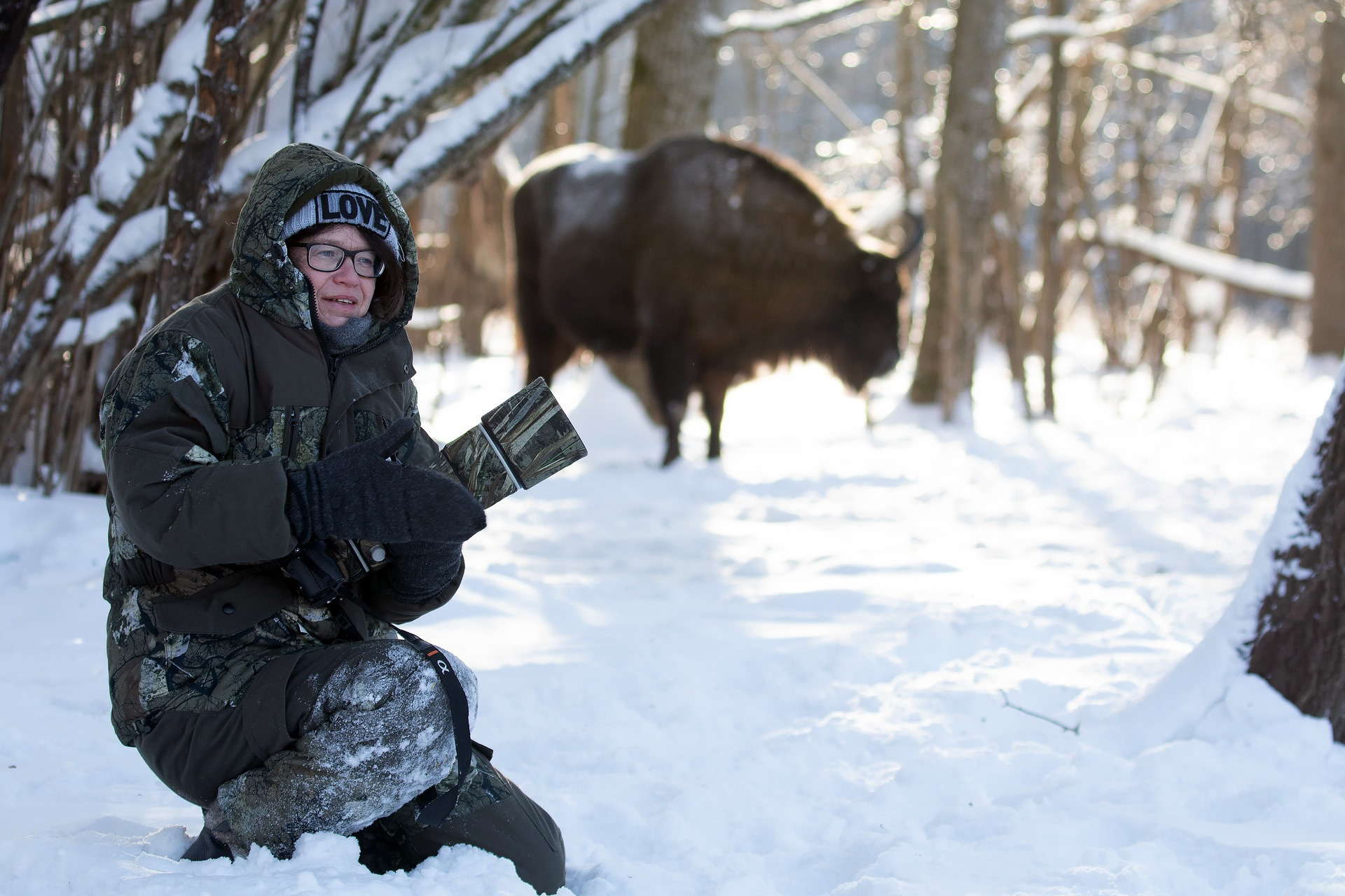 фототуры, фототур, экспедиция, животные, приключение, путешествие, поездка, туры выходного дня, туры по России, фототуры по России, дикая природа, зубры, Калужские засеки