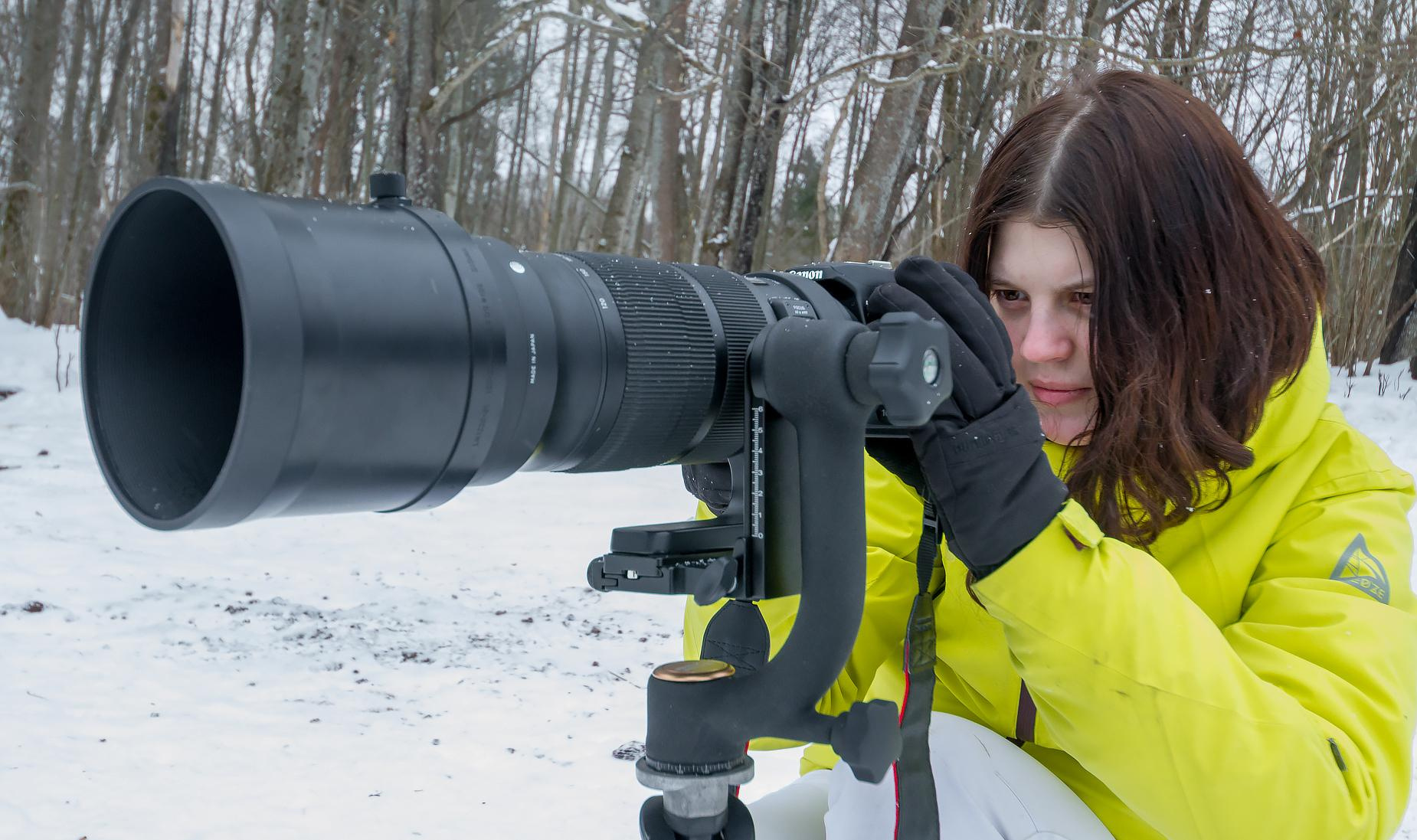 фототуры, фототур, экспедиция, животные, приключение, путешествие, поездка, туры выходного дня, туры по России, фототуры по России, дикая природа, зубры, Калужские засеки