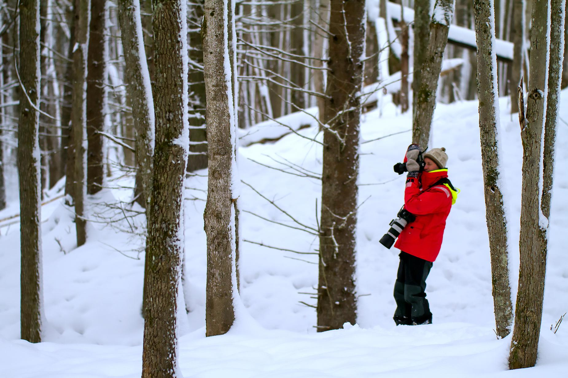 фототуры, фототур, экспедиция, животные, приключение, путешествие, поездка, туры выходного дня, туры по России, фототуры по России, дикая природа, зубры, Калужские засеки