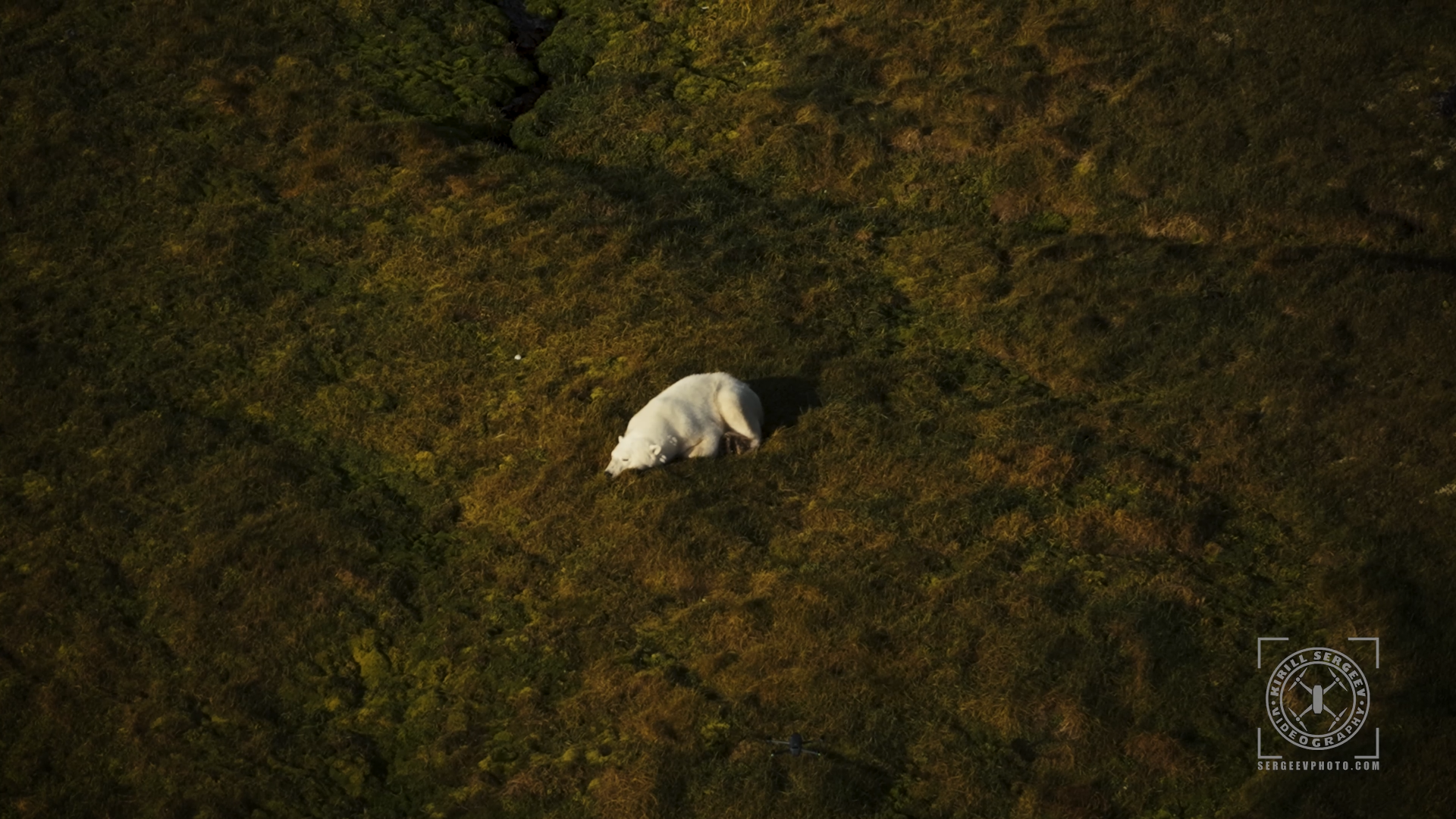 ARCTIC FILM. Photographer Kirill Sergeev | Moscow