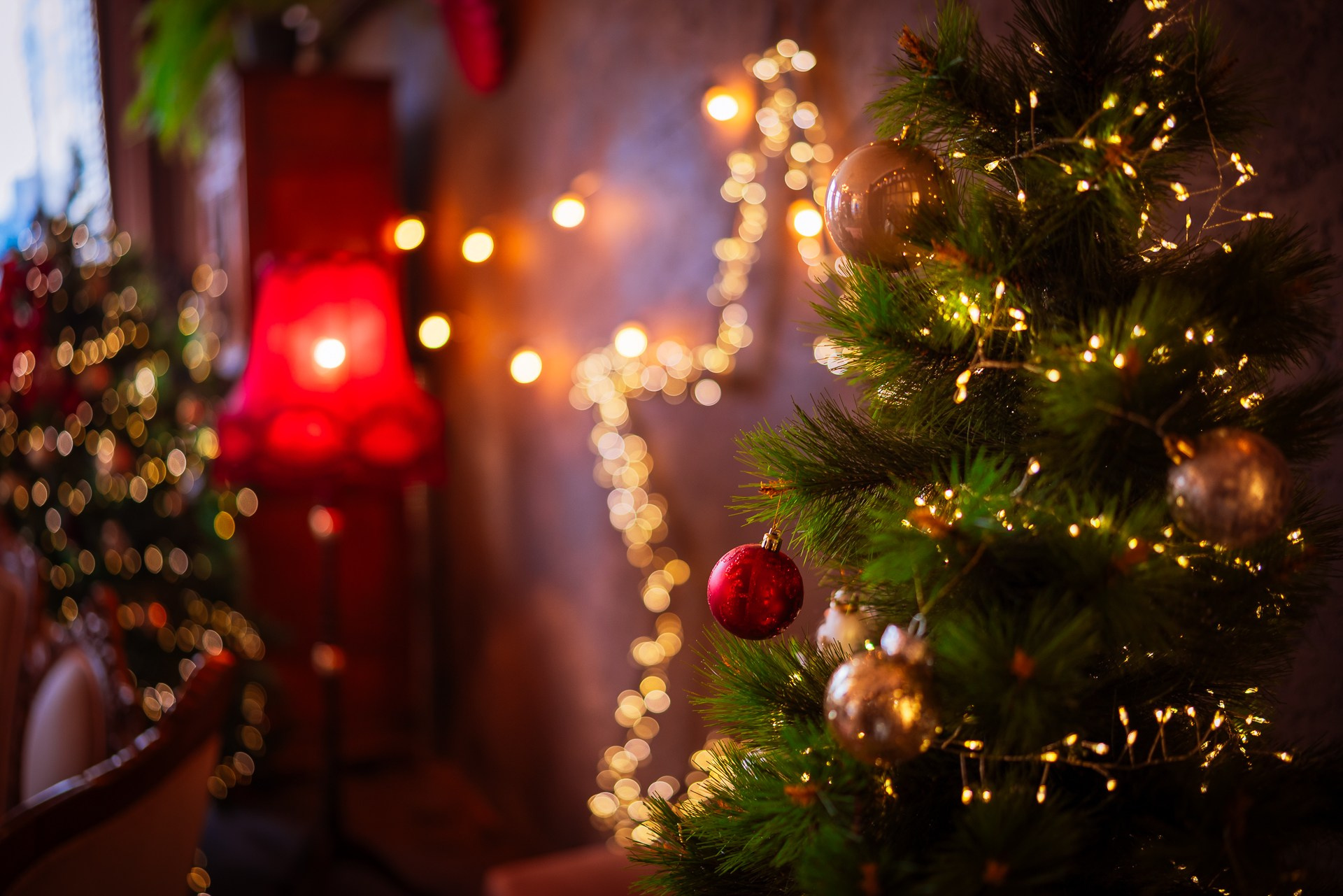 Фотостудия интерьерная в Туле — Давинчи |Davinci