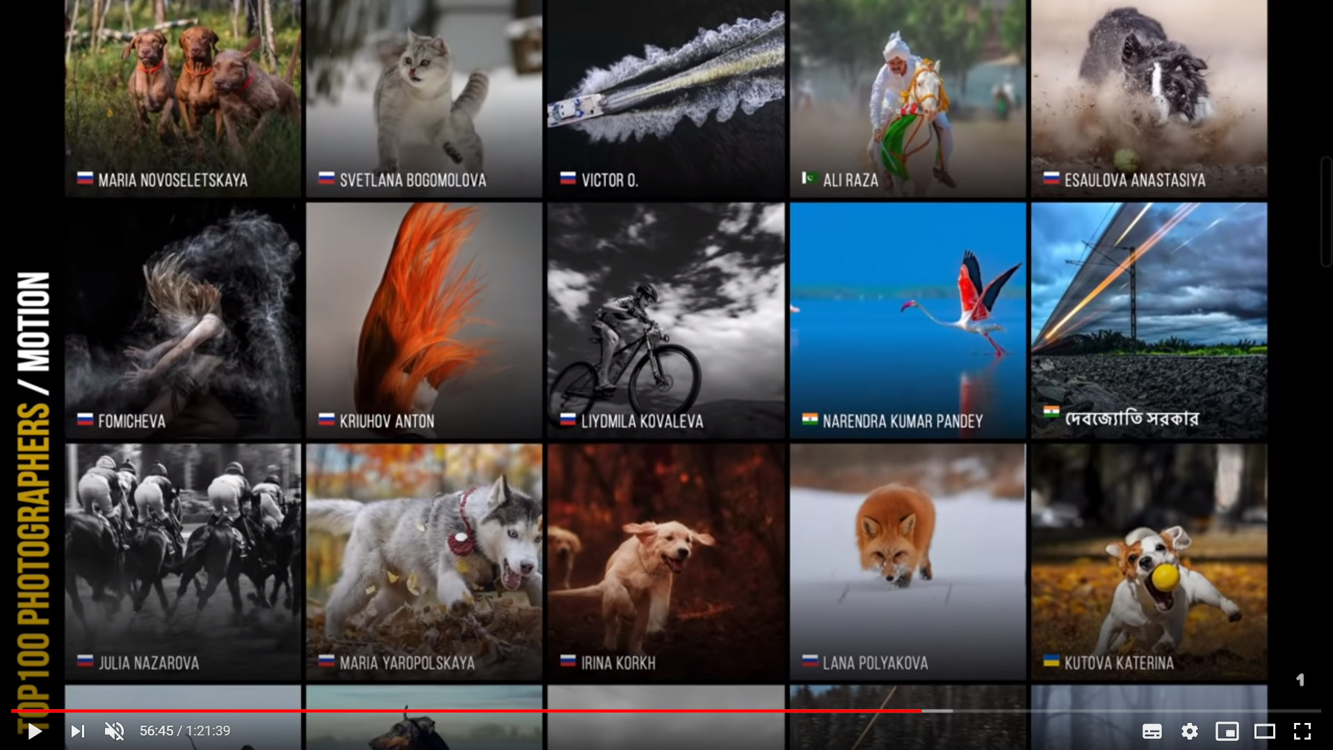 Подведены итоги конкурса 5TH 35AWARDS. ФОТОГРАФ-АНИМАЛИСТ l LANA POLYAKOVA