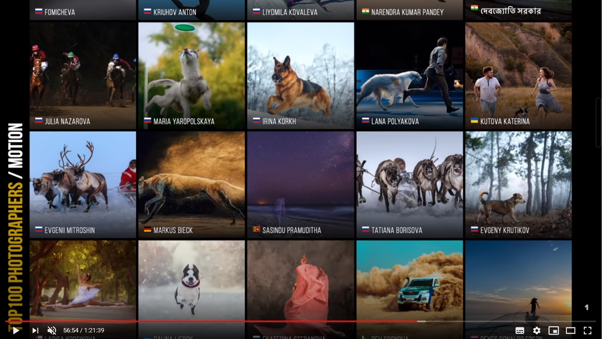 Подведены итоги конкурса 5TH 35AWARDS. ФОТОГРАФ-АНИМАЛИСТ l LANA POLYAKOVA