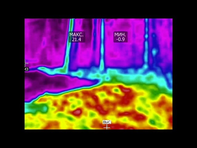56,0123320, 38,39001773. Козлова Екатерина. Междисциплинарная визуальная художница