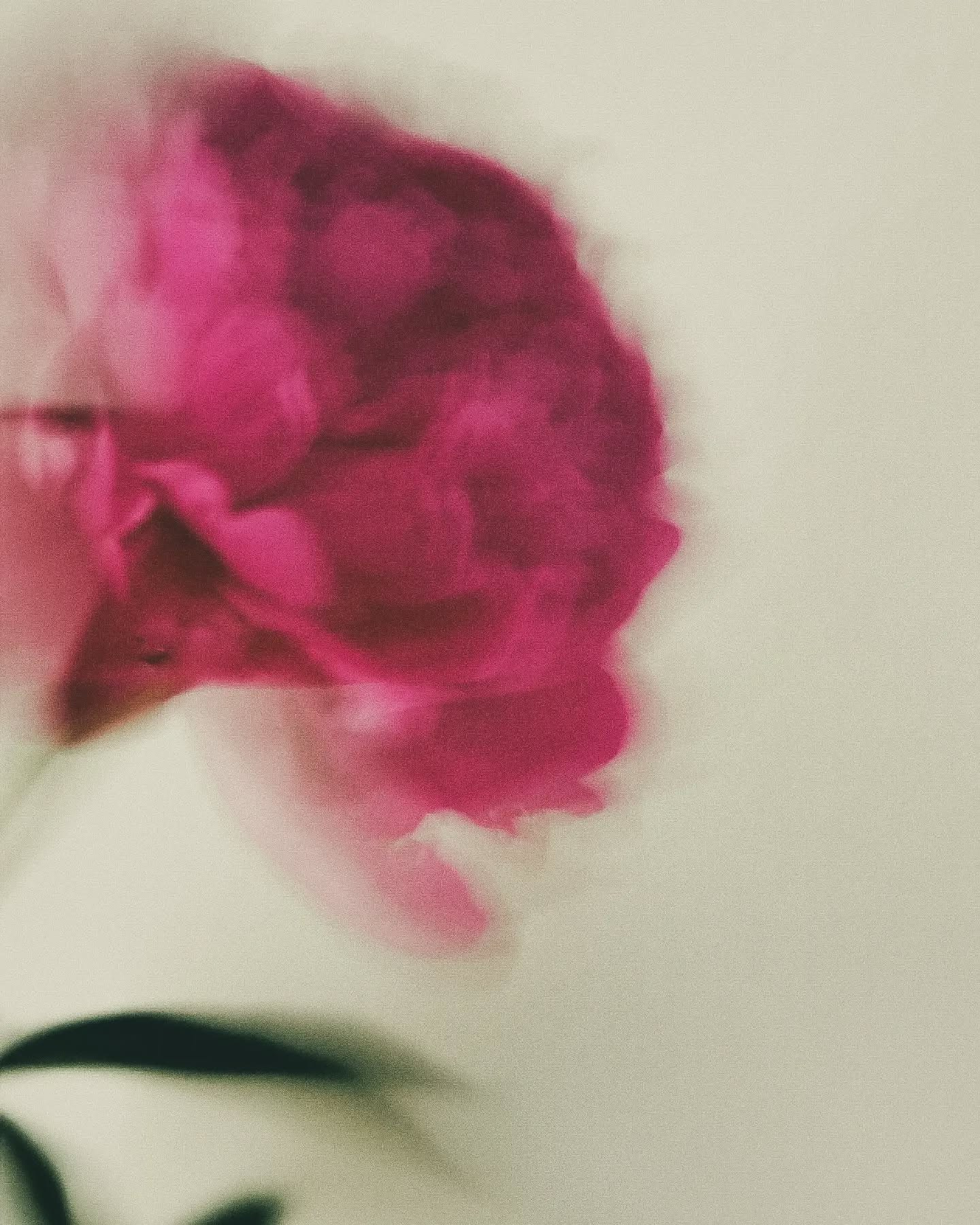 Фотограф из Санкт-Петербурга/Катерина Зайцева