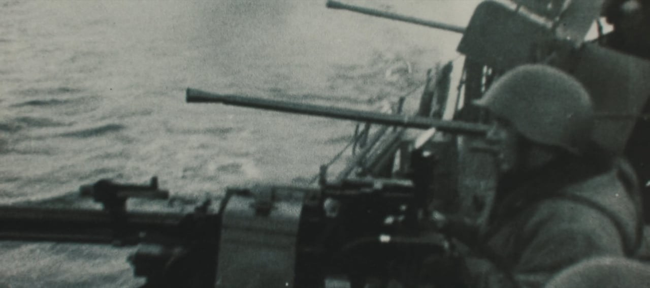 Reportage / Documentary. Оператор постановщик Денис Трегубов