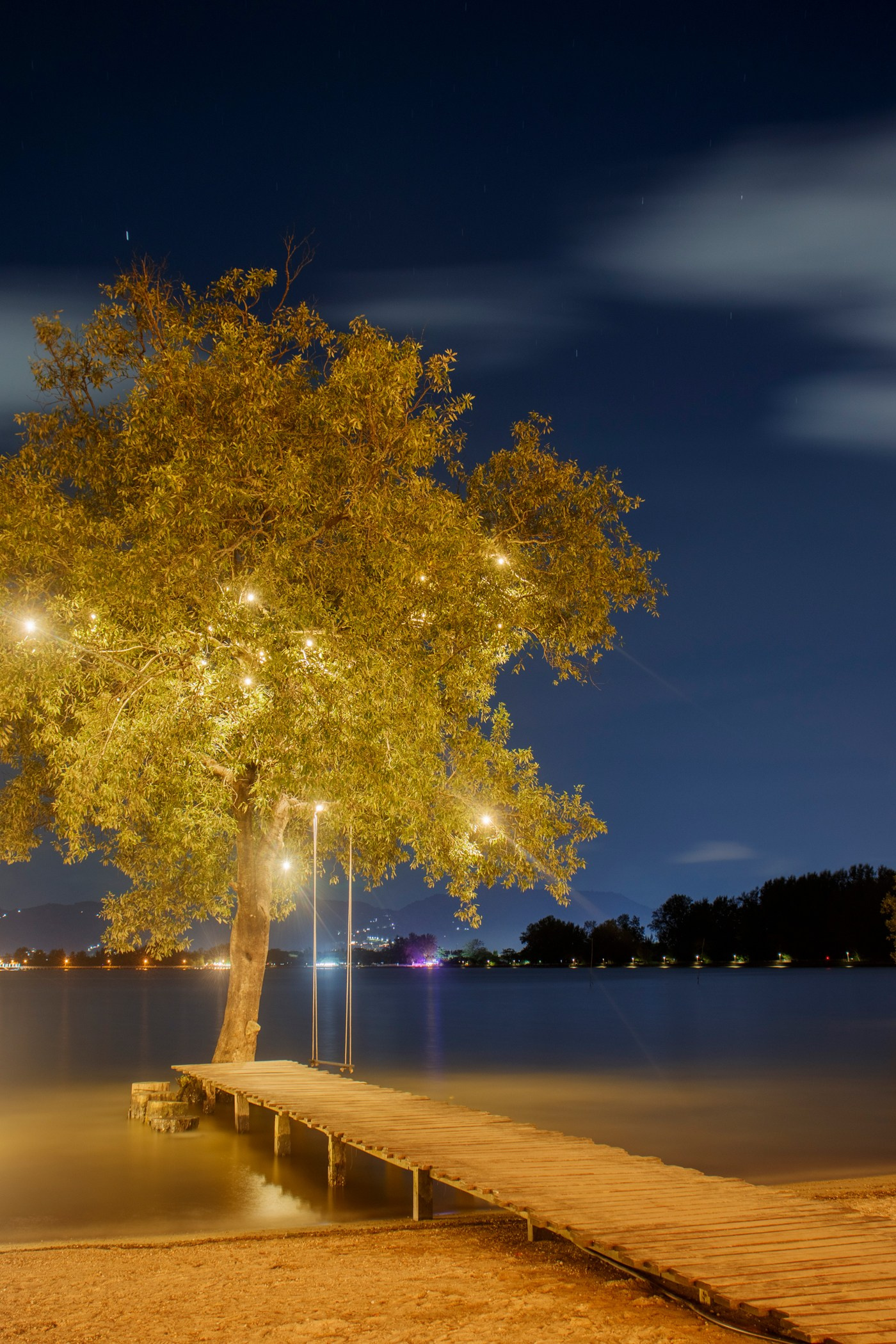 beautiful phuket beach with a tree