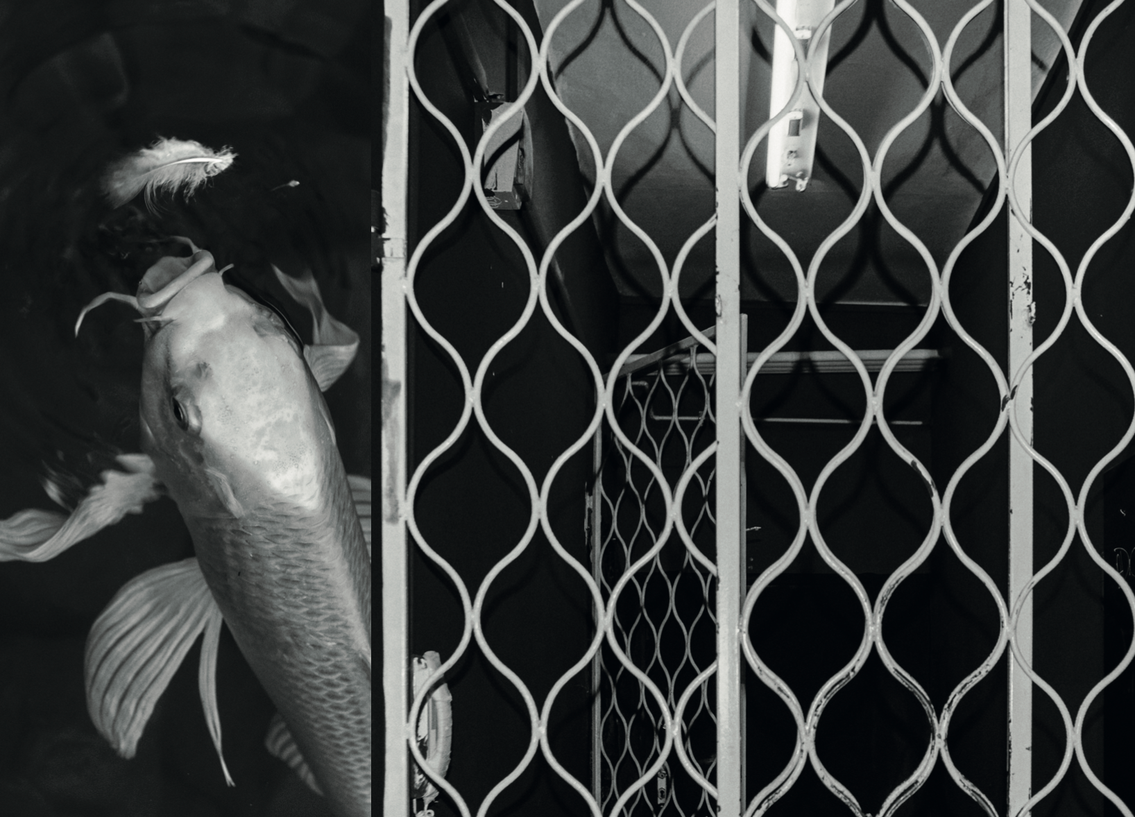 Курс Олега Колимбета: Сторителлинг и создание визуальных нарративов. Самоорганизация Низина