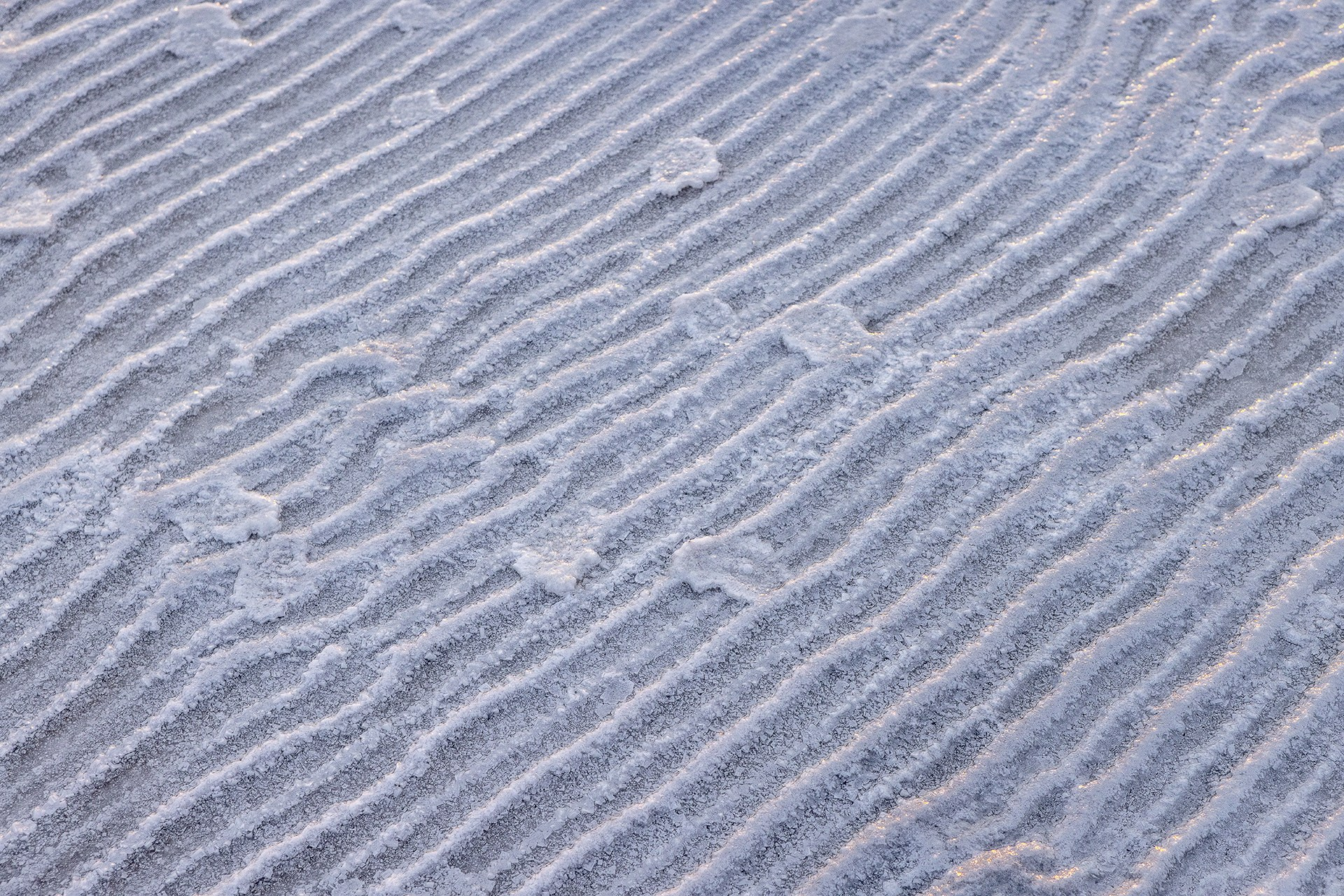 Волгоградская и астраханская области Весна 2026 | Фотограф Дмитрий Купрацевич. Дмитрий Купрацевич профессиональный пейзажный и travel-фотограф