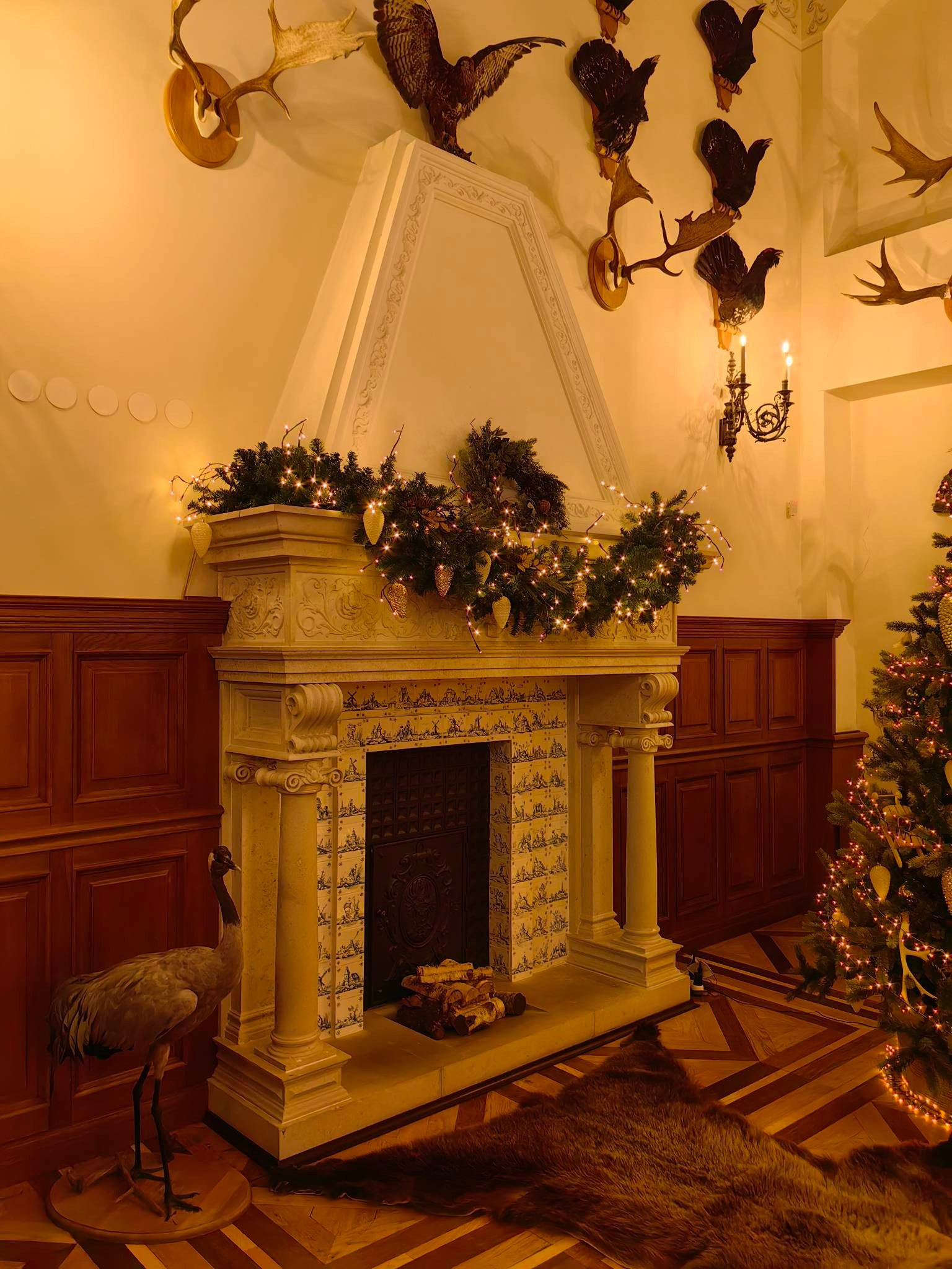 Каминные печи замка Несвиж